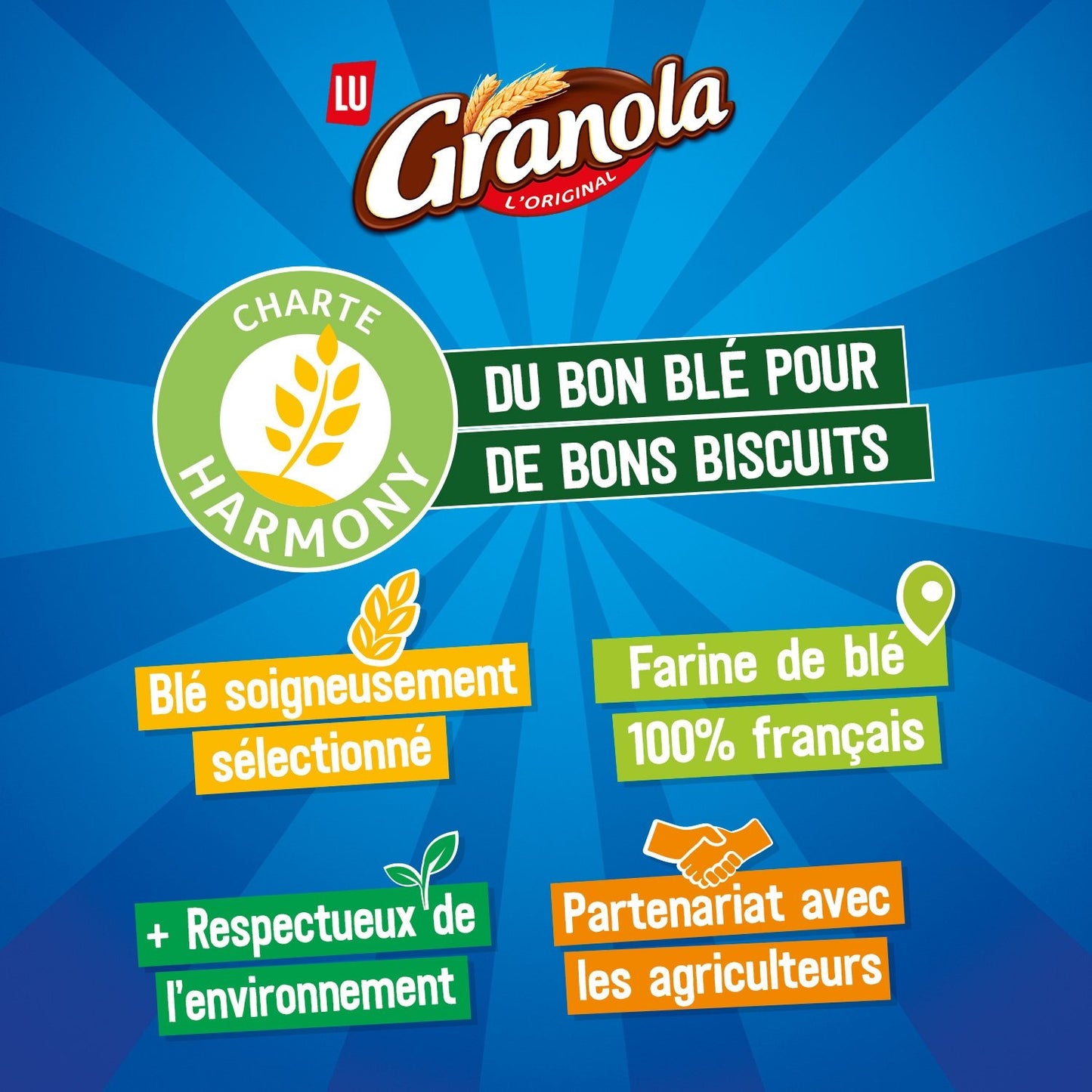 Biscuits Sablés Nappés au Chocolat au Lait Granola LU