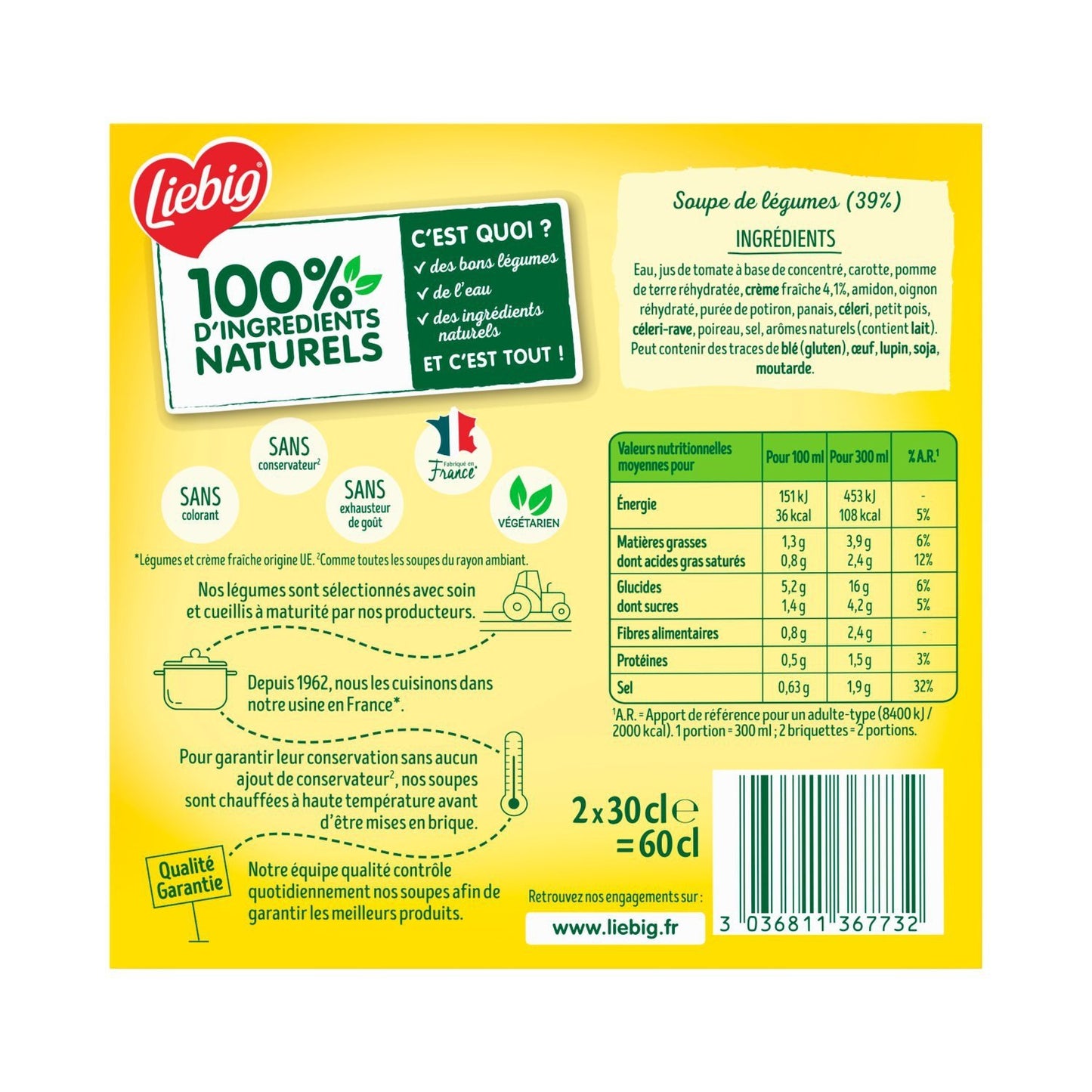 LIEBIG 10 Vegetable Cream Soup with Sour Cream