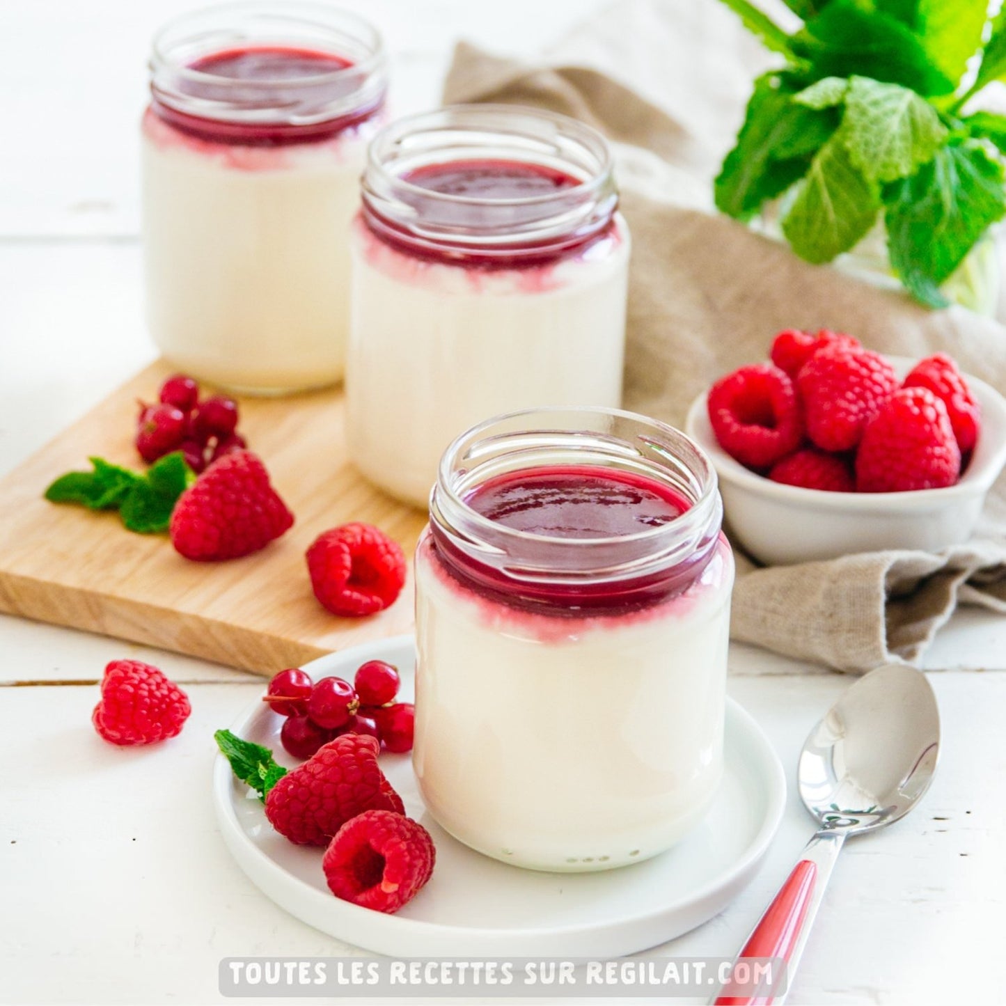 REGILAIT Whole Powdered Milk