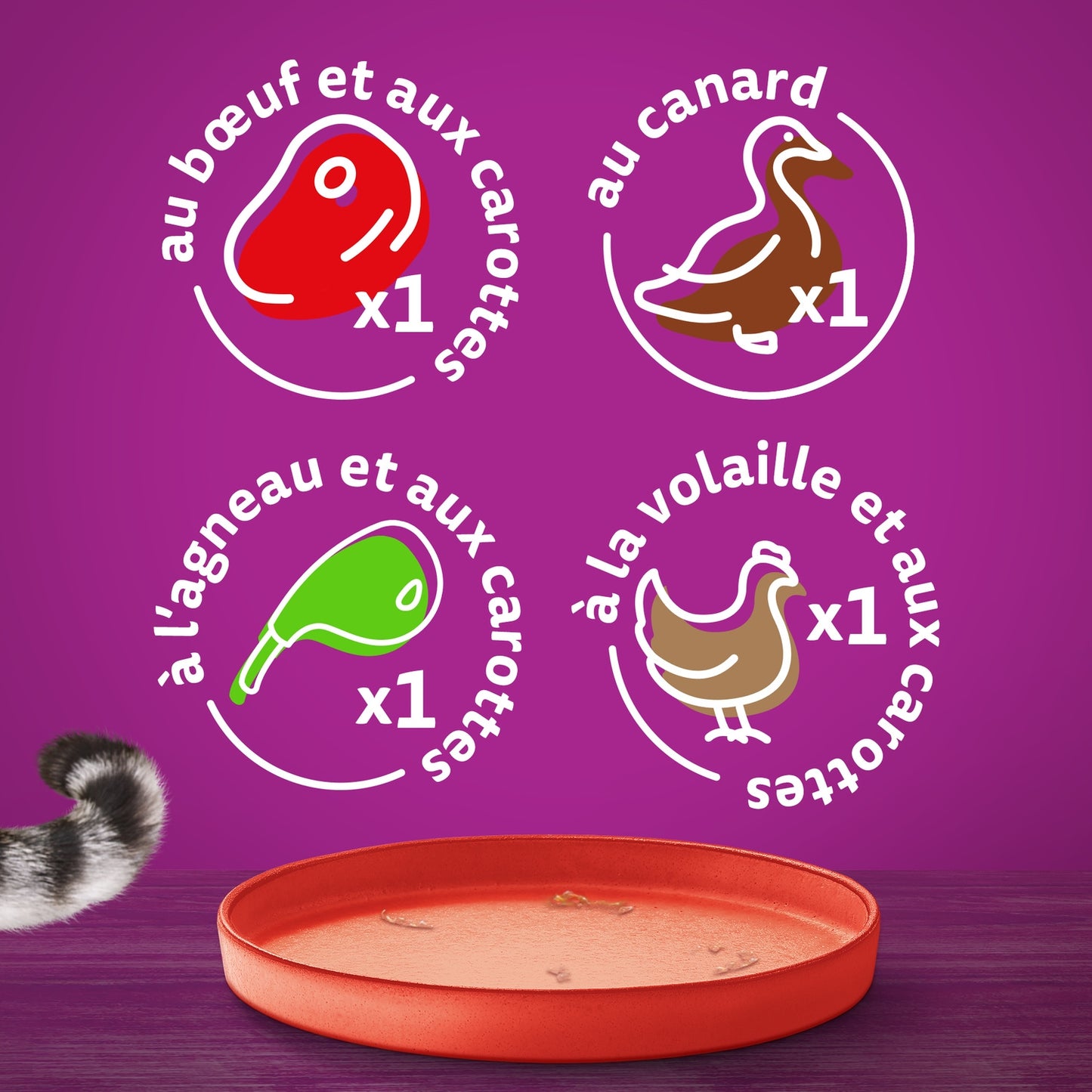 Pâtée pour Chat la Carte du Marché en Terrine WHISKAS