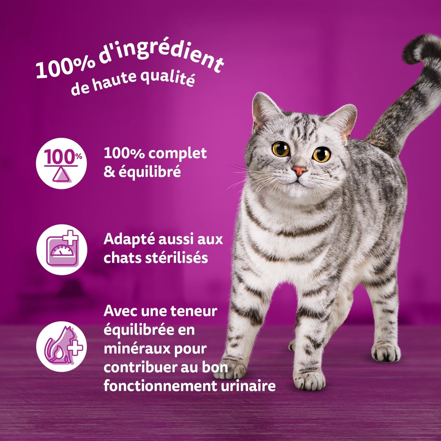 Pâtée pour Chat Adulte en Gelée Boeuf Dinde Volaille Truite la Carte du Monde WHISKAS