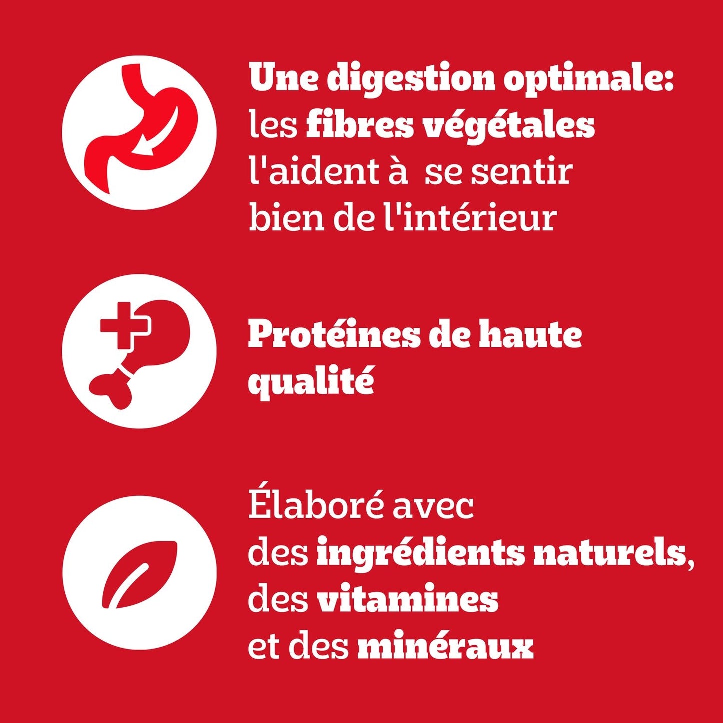Pâtée pour Chien Adulte Gelée Poulet Boeuf Agneau Volaille Vital Protection PEDIGREE