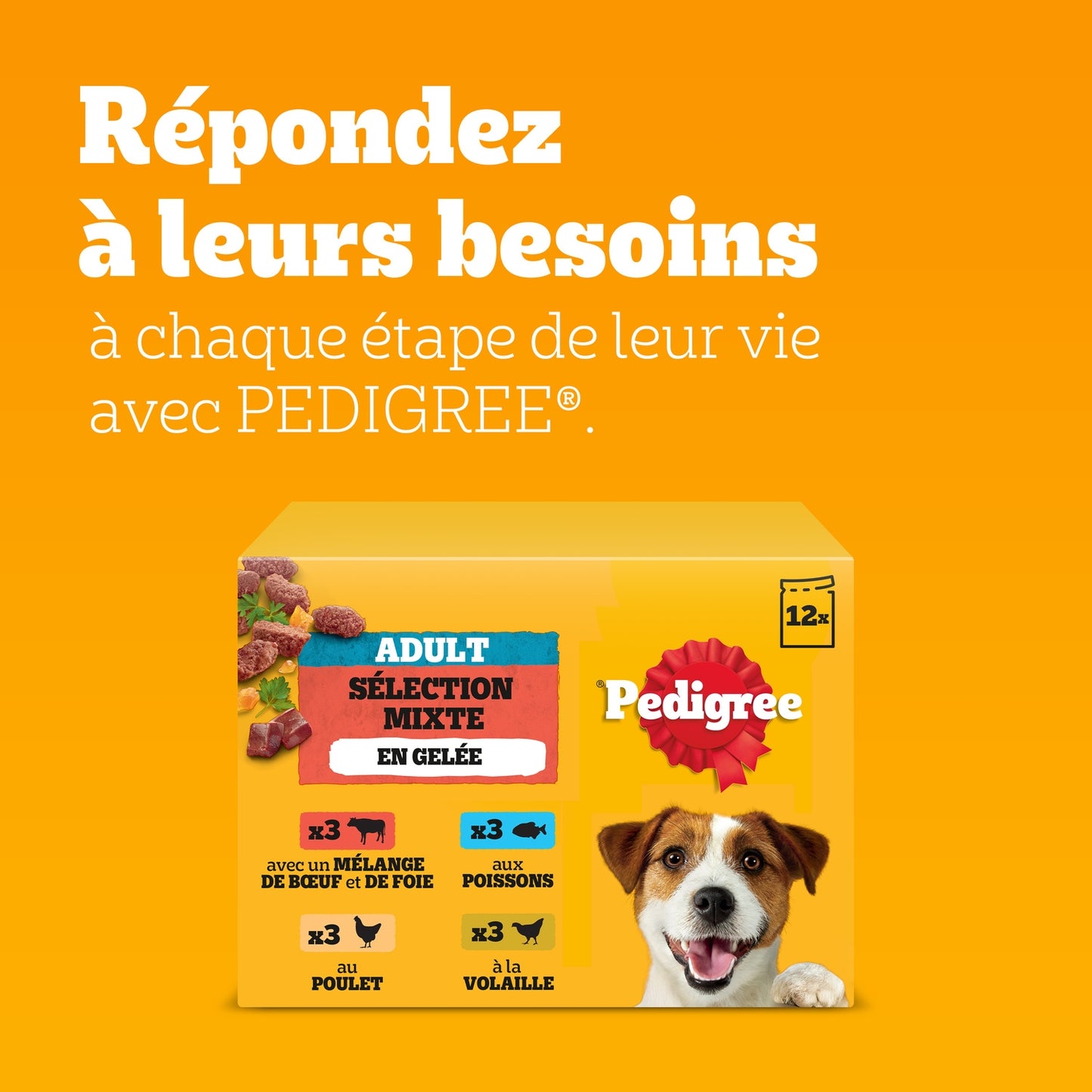 Pâtée pour Chien Adulte Gelée Poulet Boeuf Agneau Volaille Vital Protection PEDIGREE