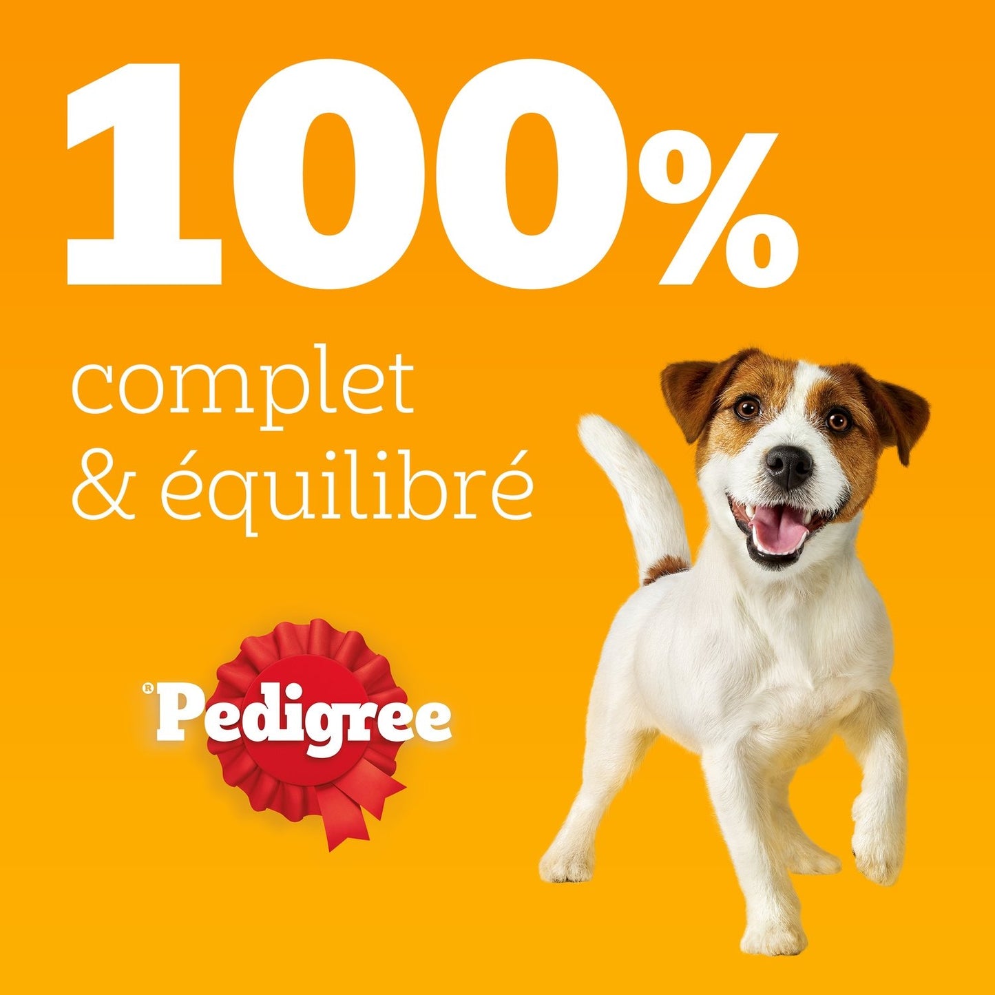 Pâtée pour Chien Adulte Gelée Poulet Boeuf Agneau Volaille Vital Protection PEDIGREE