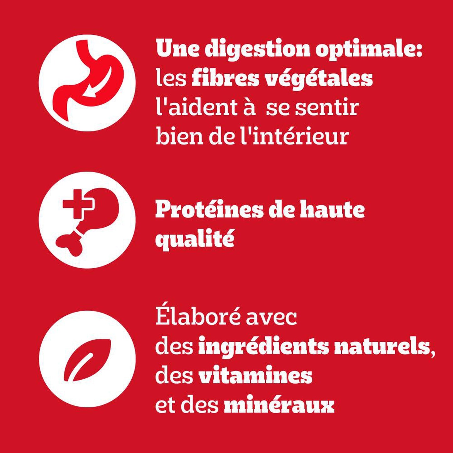 Pâtée pour Chien Adulte au Bœuf, à l'Agneau, au Poulet & Dinde PEDIGREE