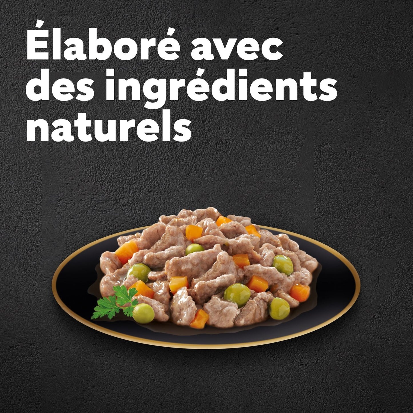 Pâtée pour Chien Adulte Petit < 10kg Sauce Volaille Boeuf Dinde Agneau les Recettes de Campagne CESAR