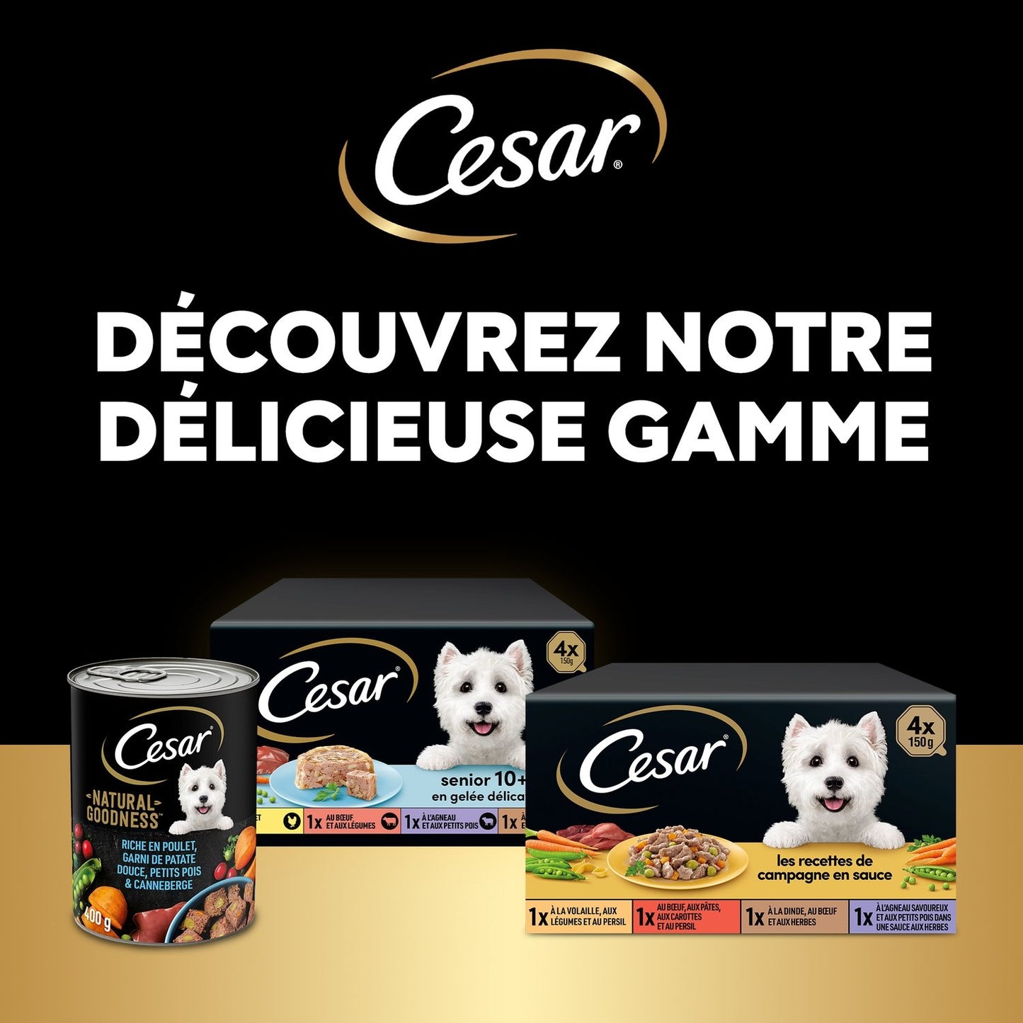 Pate for Adult Dogs Small < 10kg Sauce Poultry Beef Turkey Lamb CESAR Country Recipes