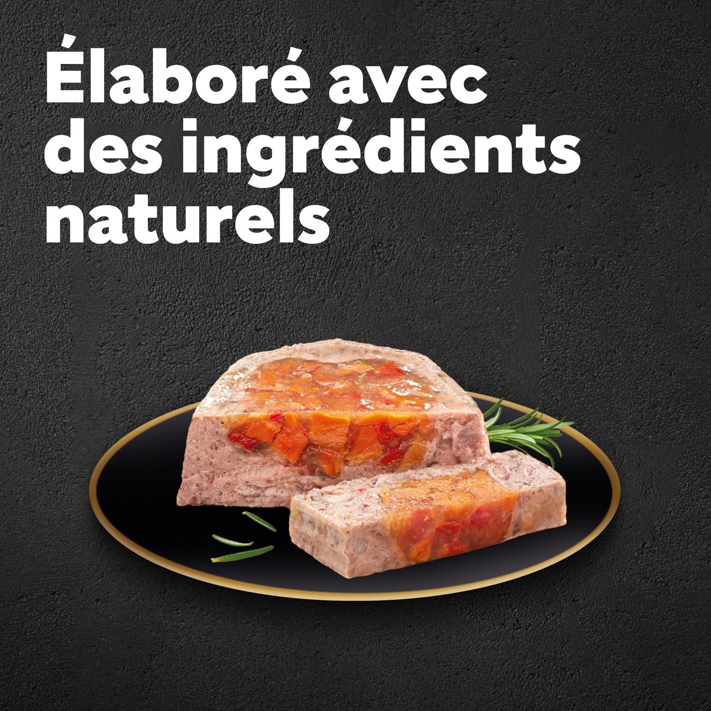 Pastete für ausgewachsene Hunde Terrine Huhn Rind Geflügel Pute Gemüse CESAR Gartenterrinen