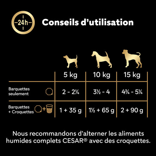 CESAR Senior Hundefutter Jelly Huhn Rind Lamm Pute