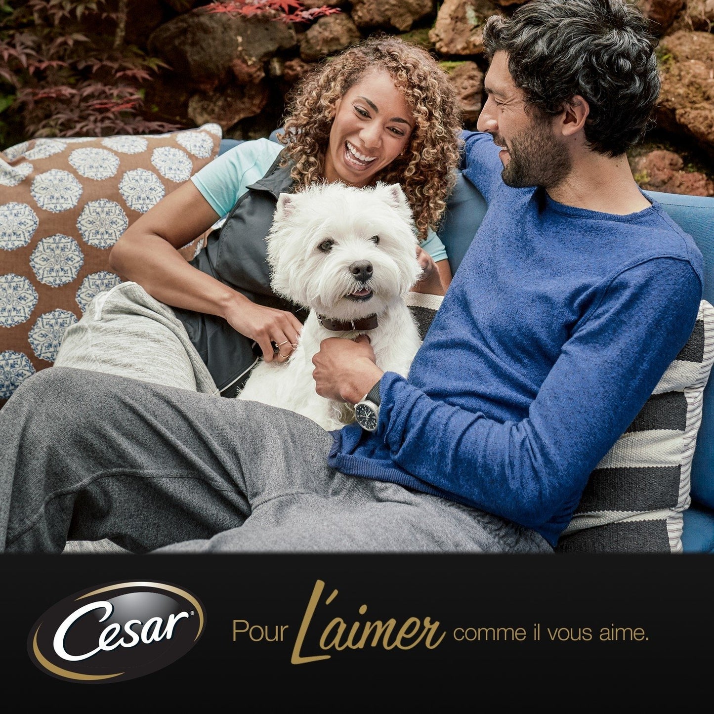 CESAR Chicken Terrine for Small Adult Dogs < 10kg