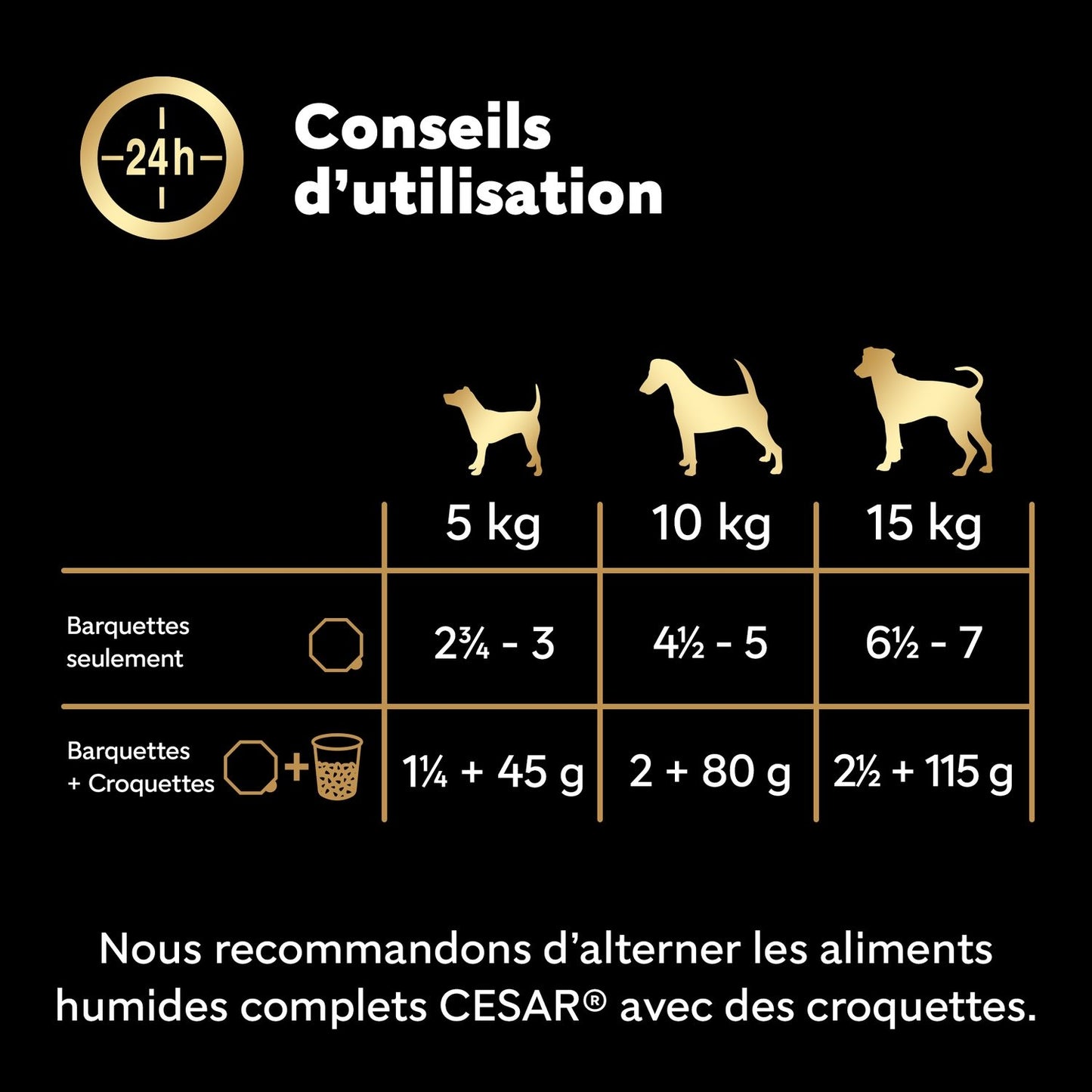 Pâtée pour Chien Adulte Volaille Boeuf Dinde Agneau Sauce Recettes de Campagne CESAR