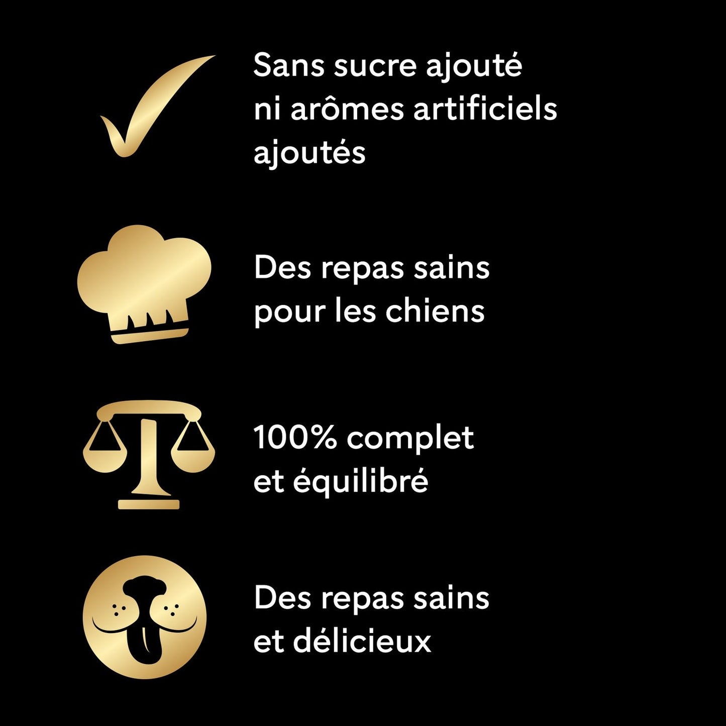 Pâtée pour Chien Adulte Volaille Boeuf Dinde Agneau Sauce Recettes de Campagne CESAR