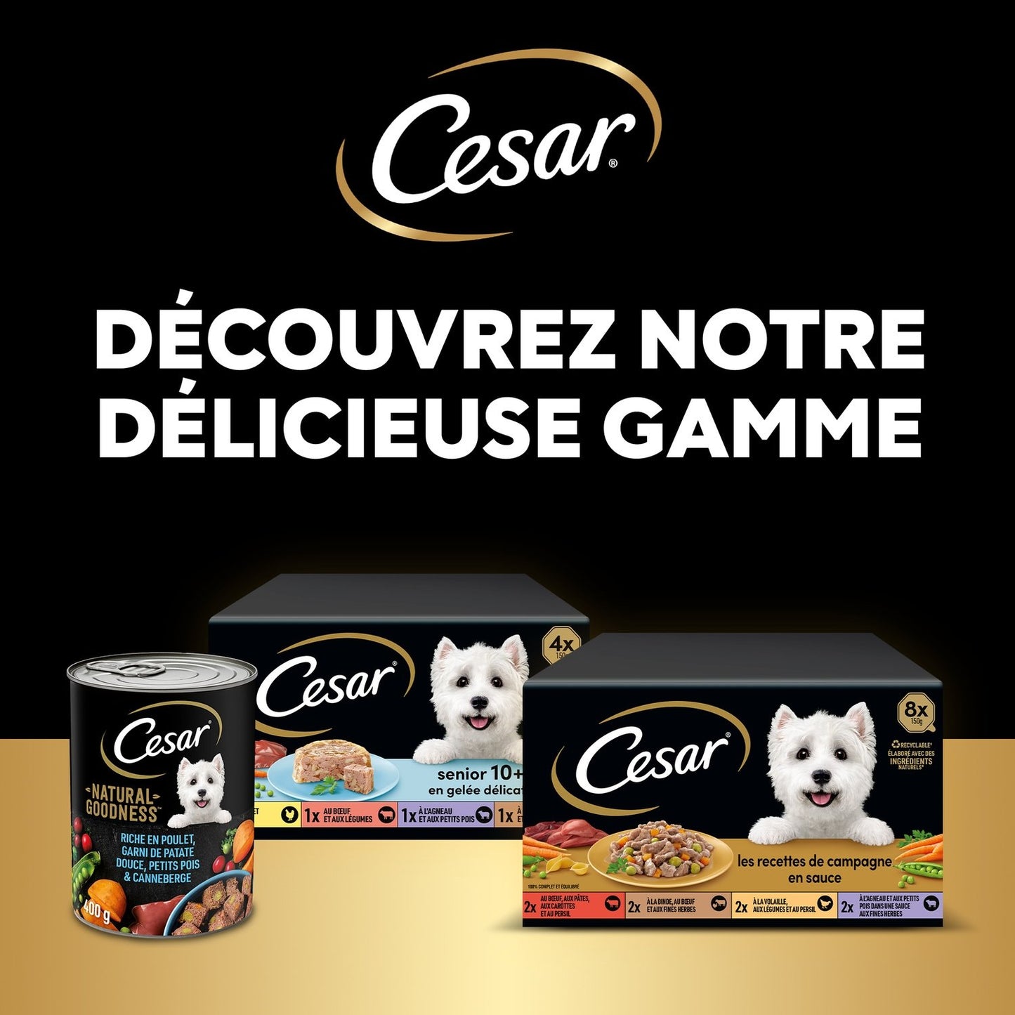 Pâtée pour Chien Adulte Volaille Boeuf Dinde Agneau Sauce Recettes de Campagne CESAR