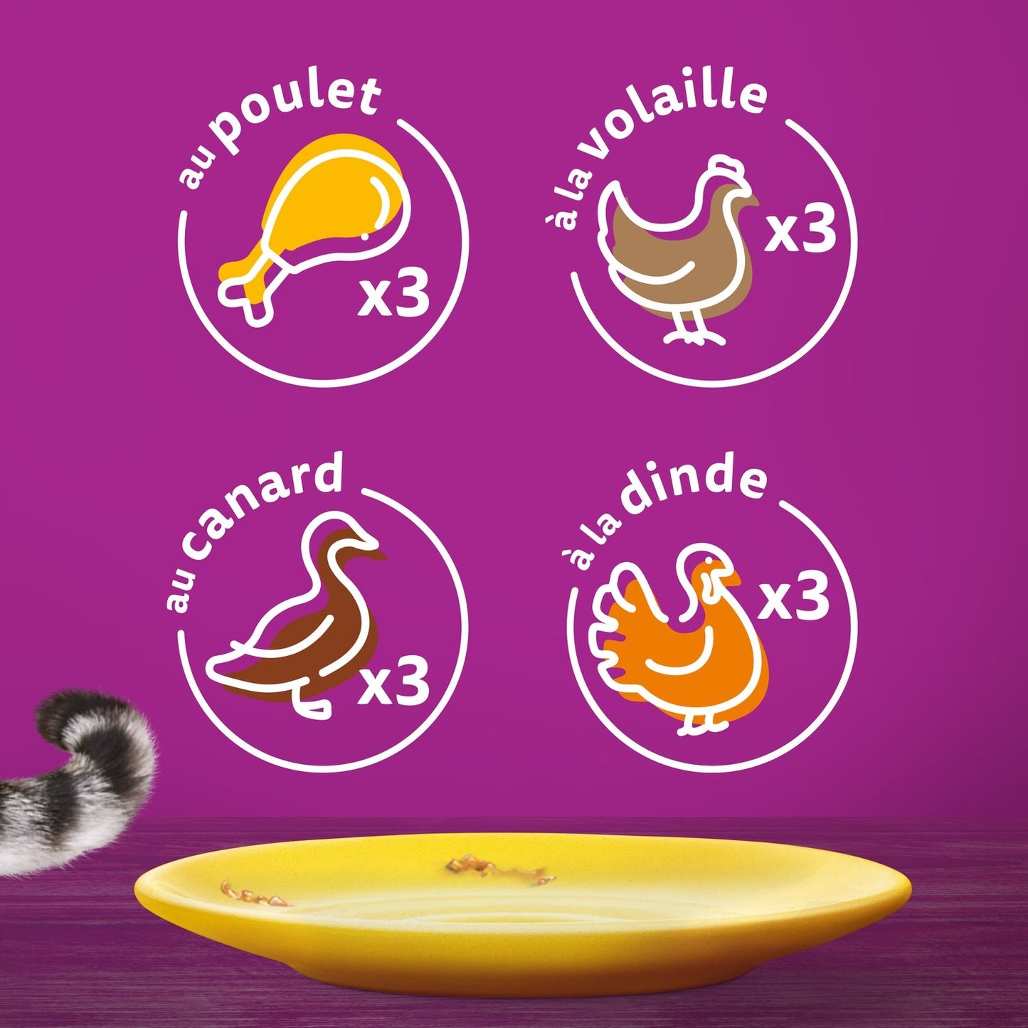 Senior Cat Food in Sauce with Poultry, Chicken, Duck, and Turkey by WHISKAS Feasts