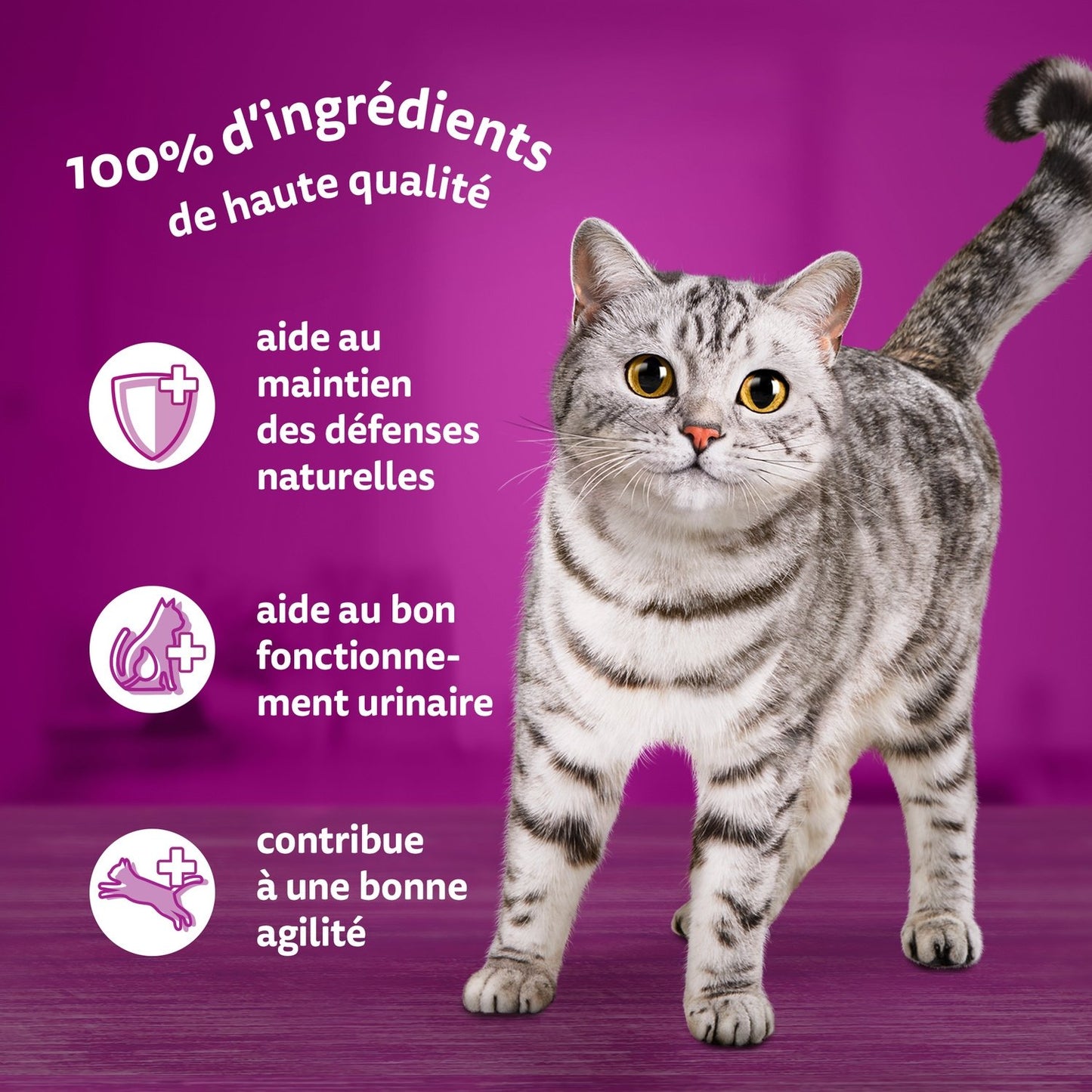 Senior Cat Food in Sauce with Poultry, Chicken, Duck, and Turkey by WHISKAS Feasts