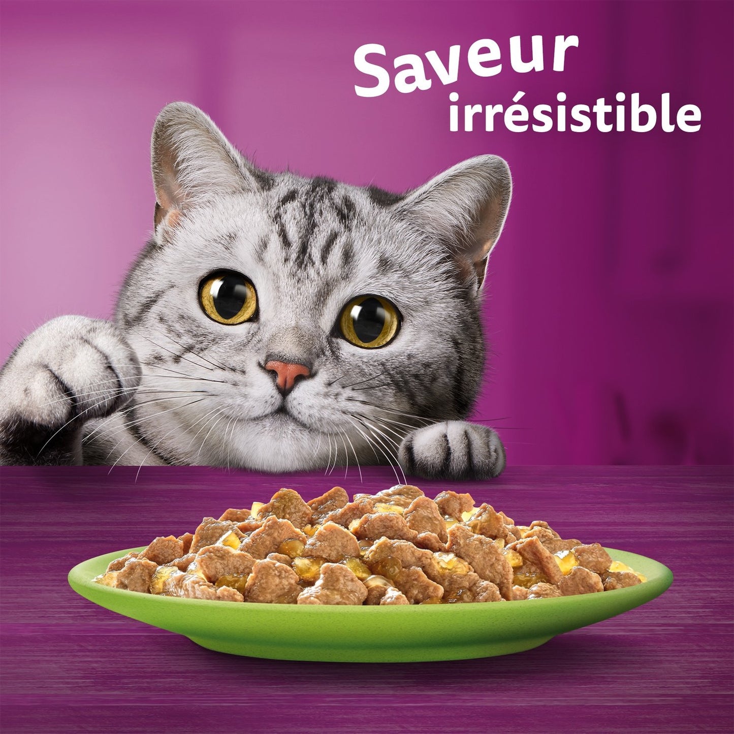 Croquettes pour Chat en Gelée 4 Variétés WHISKAS