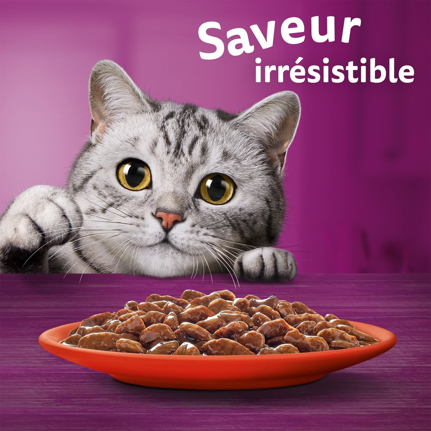 Pâtée pour Chat Adulte en Sauce Poulet Agneau Boeuf WHISKAS