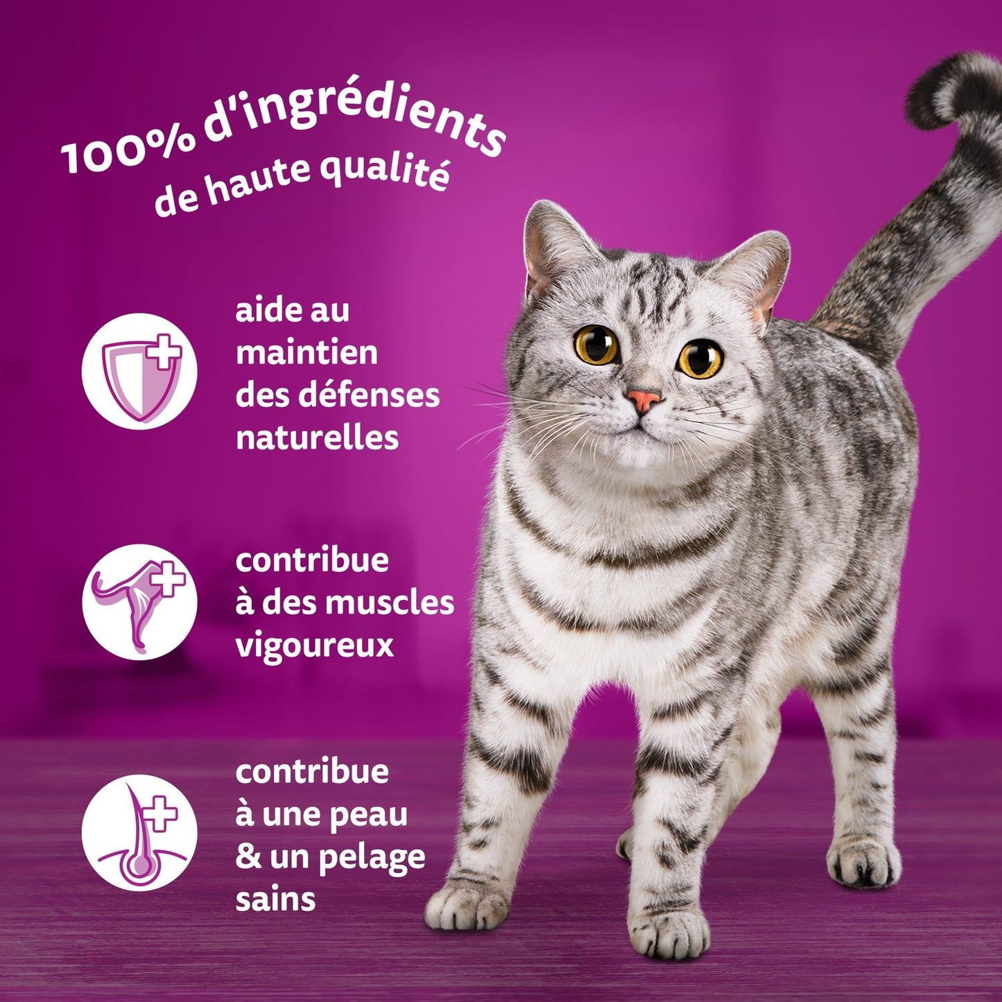 Pâtée pour Chat Adulte en Sauce Poulet Agneau Boeuf WHISKAS