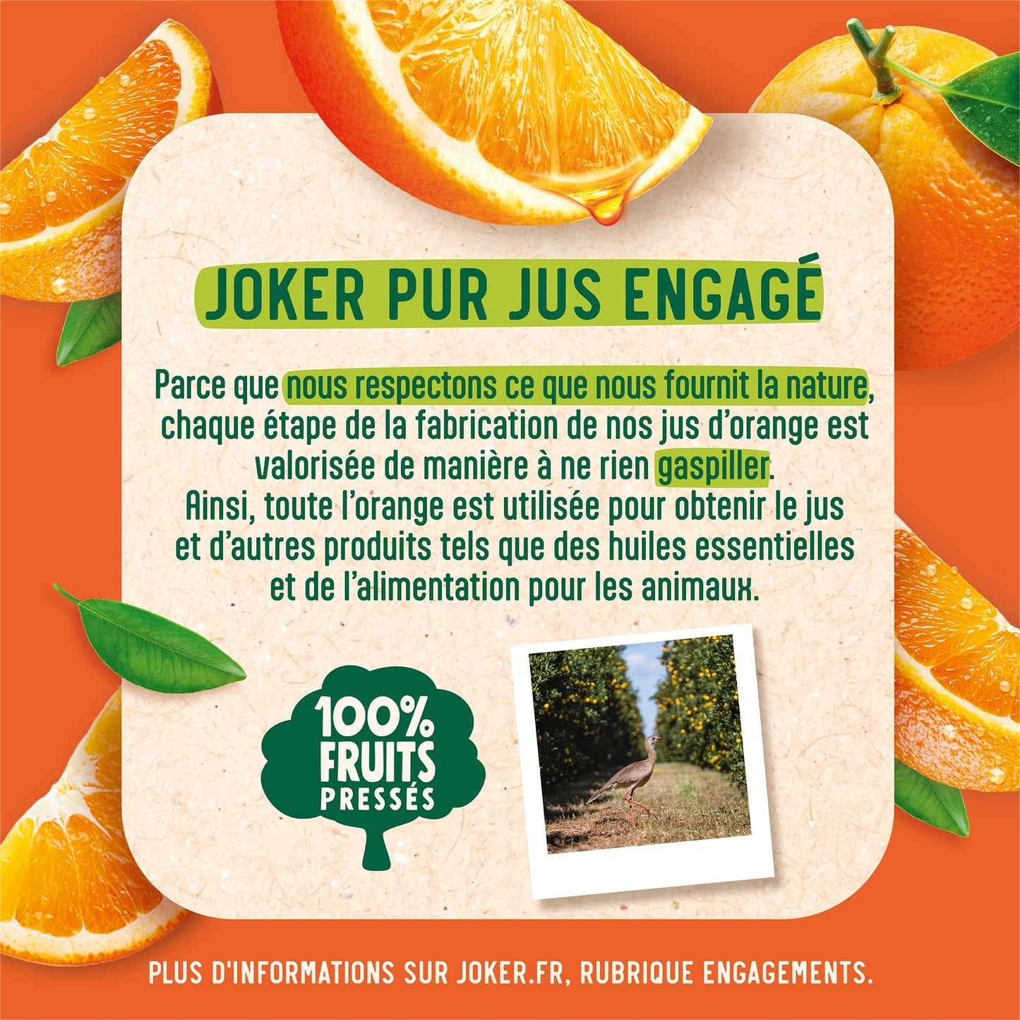 JOKER Orange Juice Without Pulp, No Added Sugar