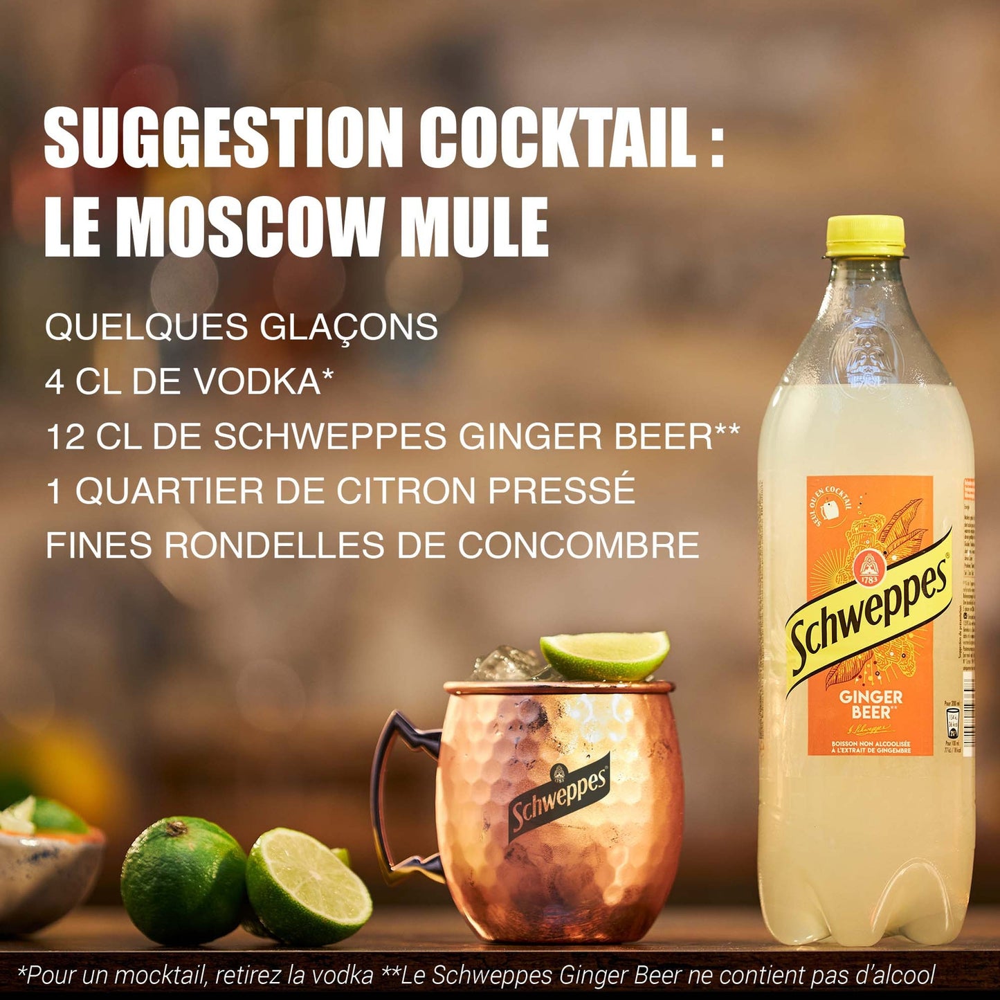 Boisson Gazeuse Ginger Beer Saveur Gingembre SCHWEPPES