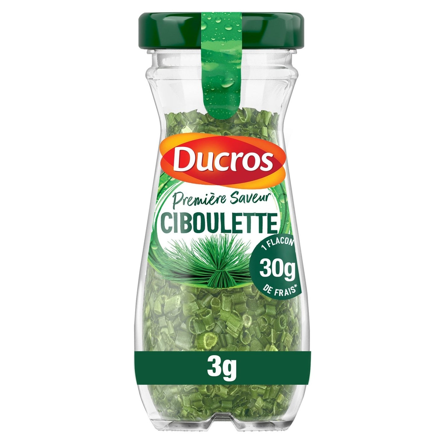 Ciboulette DUCROS le flacon de 2g