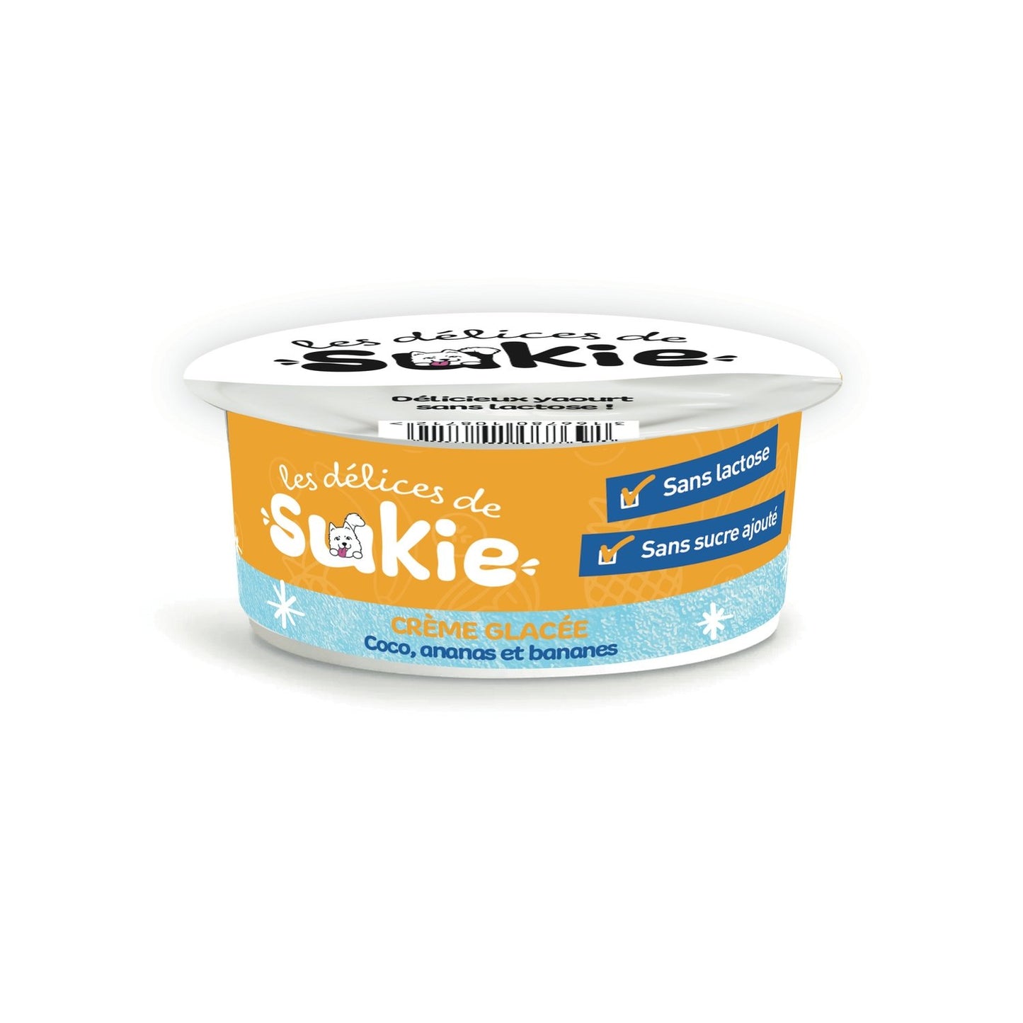 Glace pour Chien Coco, Ananas et Banane RIGA le pot de 110g