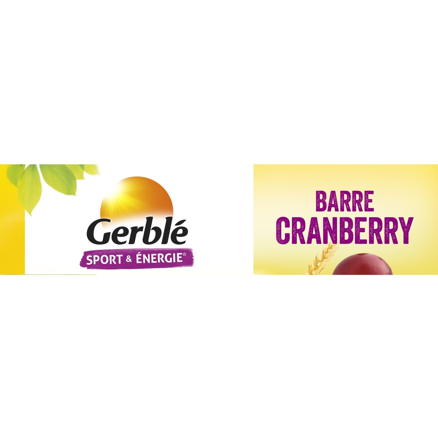 Barres Diététiques Cranberry GERBLE