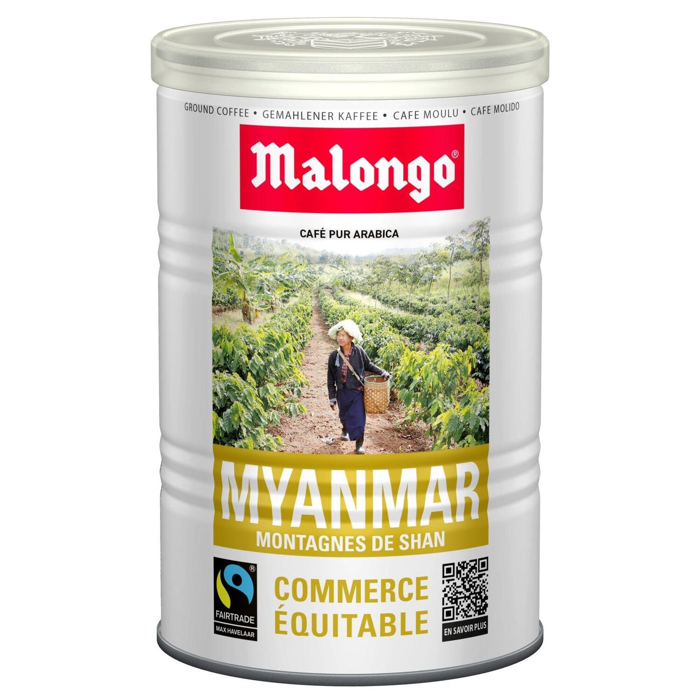 Café Moulu 100% Arabica Myanmar Shan MALONGO la boite de 250g