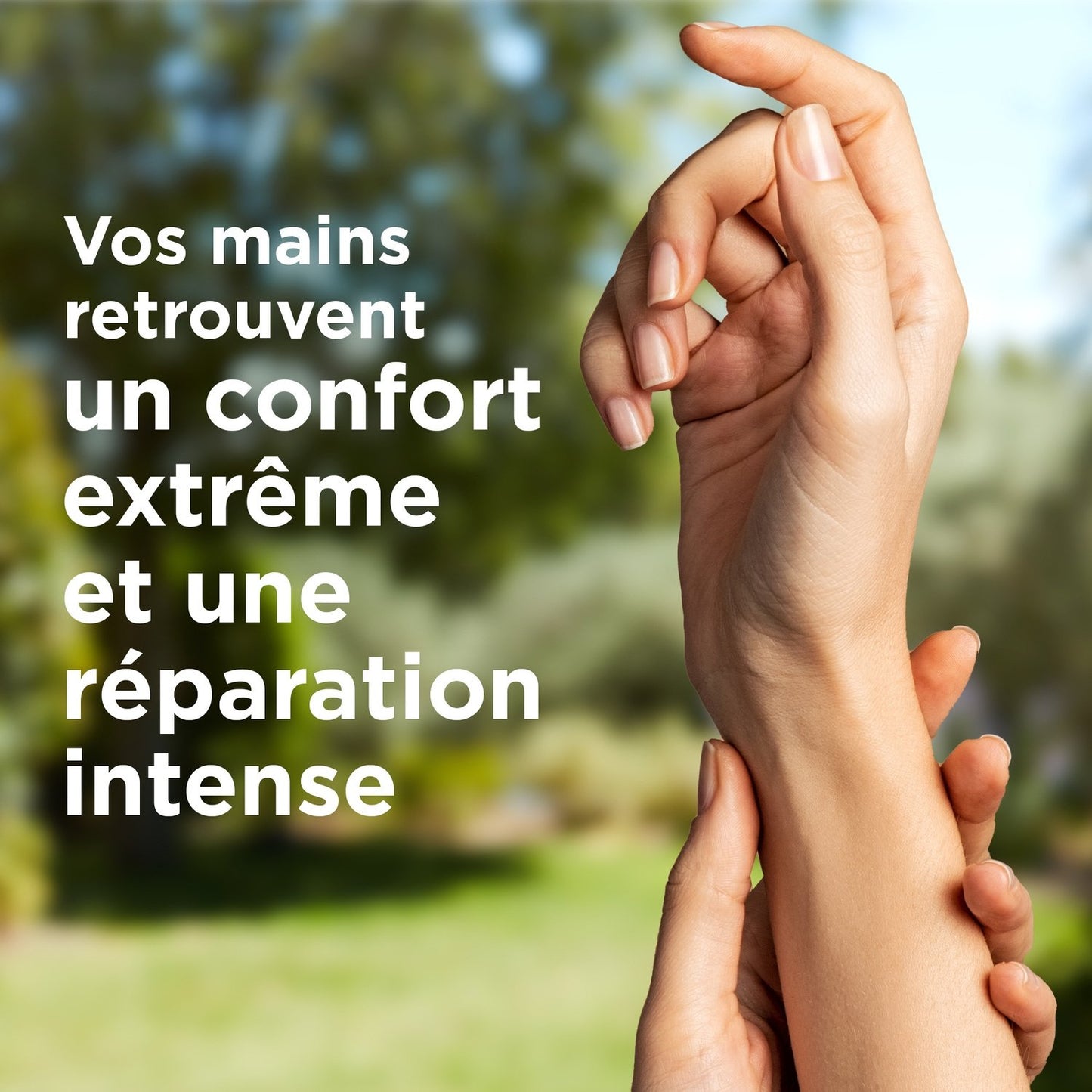 Crème Main Sèches à Très Sèches Karité Aloe Vera et Cire d'Abeille Réparation LE PETIT MARSEILLAIS