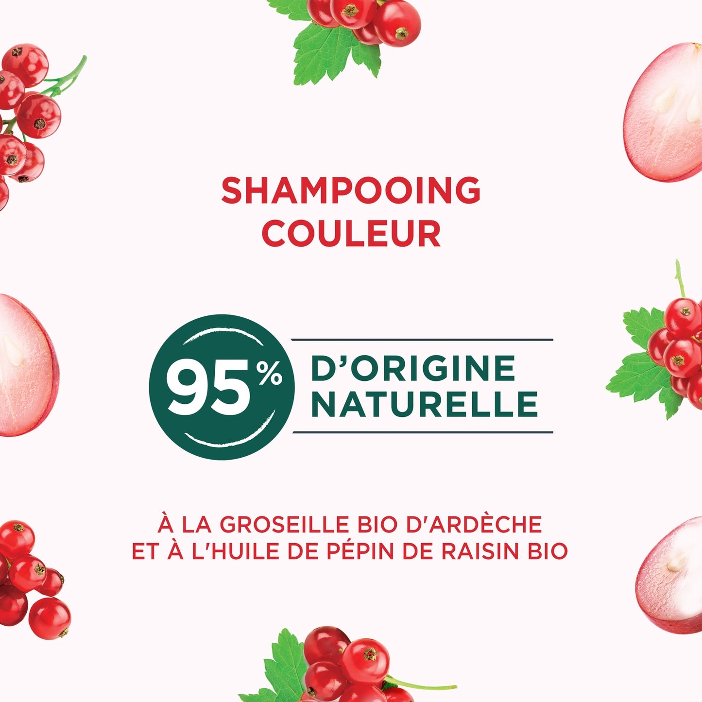 Shampoing Couleur Cheveux Colorés Méchés Groseille Bio d'Ardèche et Huile de Pépin de Raisin Bio NATURE MOI