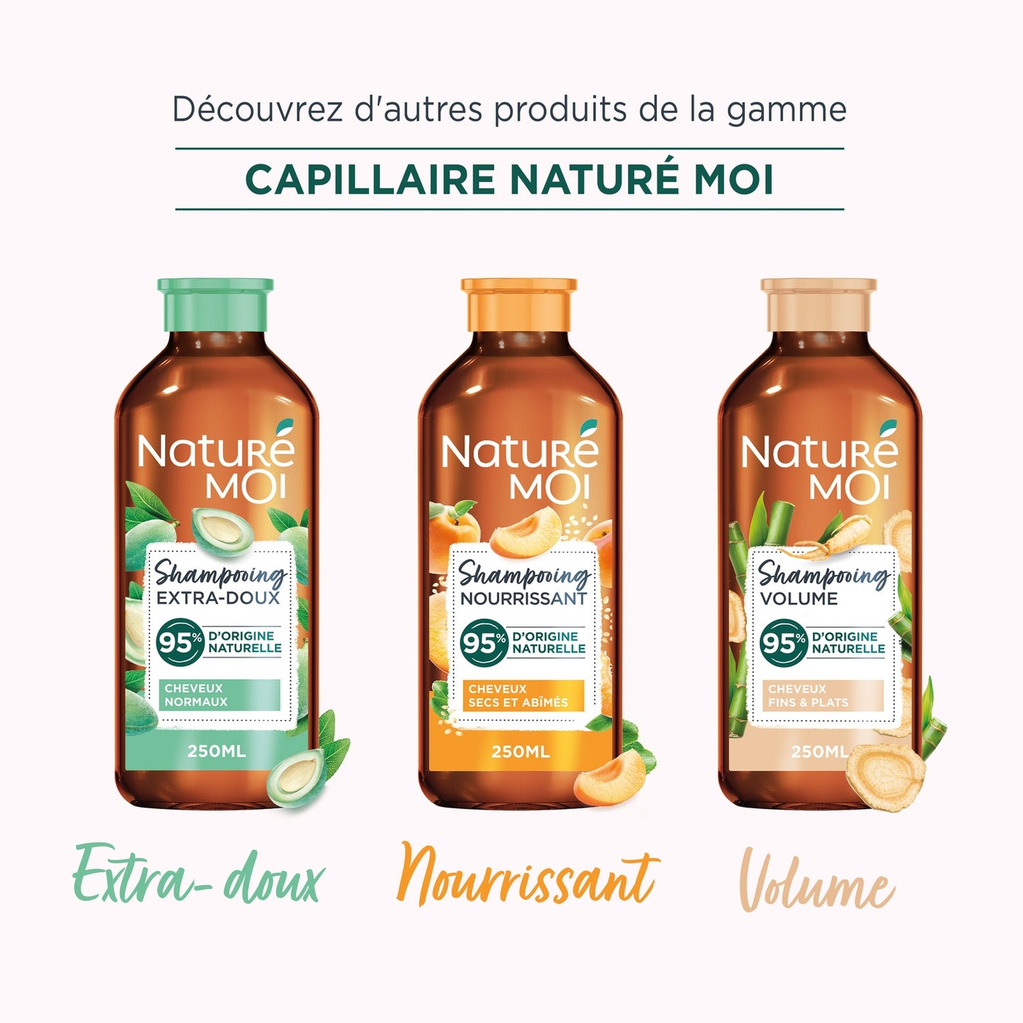 Shampoing Couleur Cheveux Colorés Méchés Groseille Bio d'Ardèche et Huile de Pépin de Raisin Bio NATURE MOI