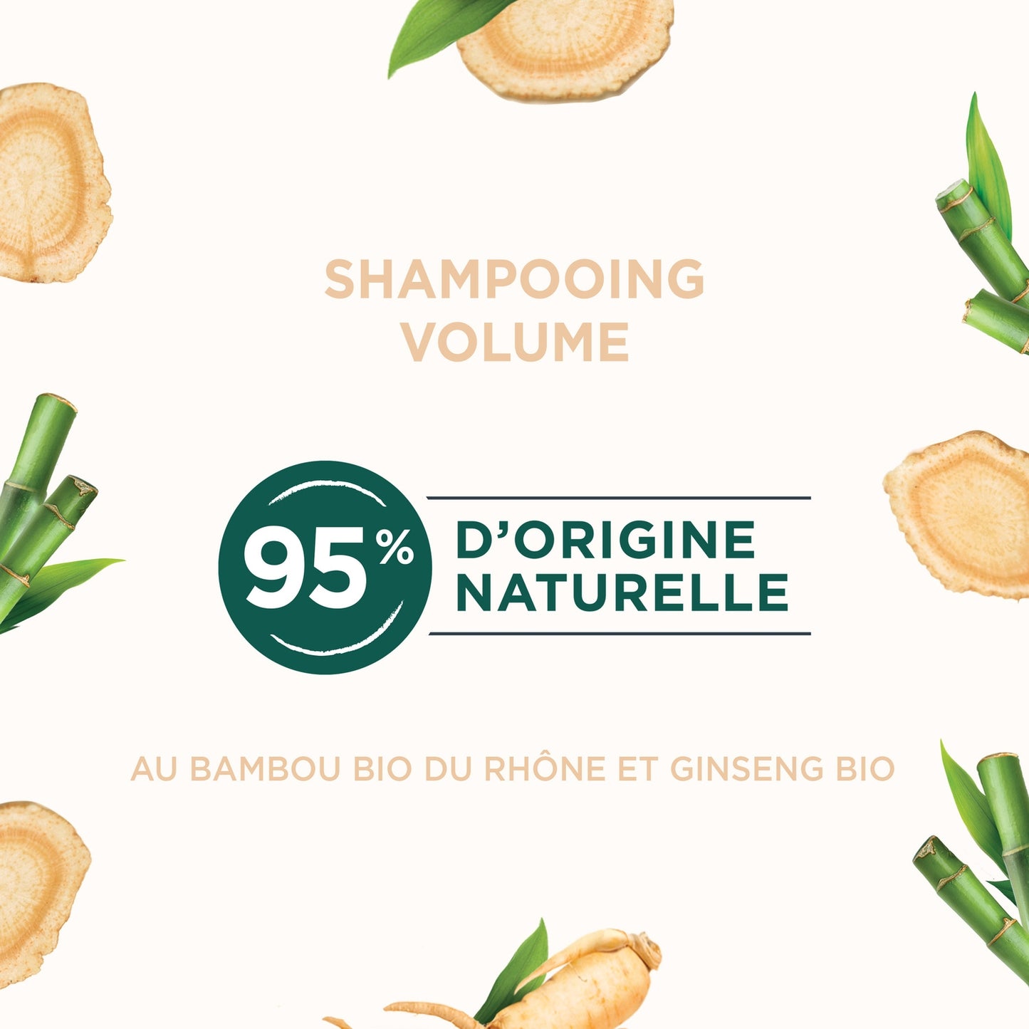 NATURE MOI Volume Shampoo for Fine and Flat Hair with Organic Bamboo and Organic Ginseng