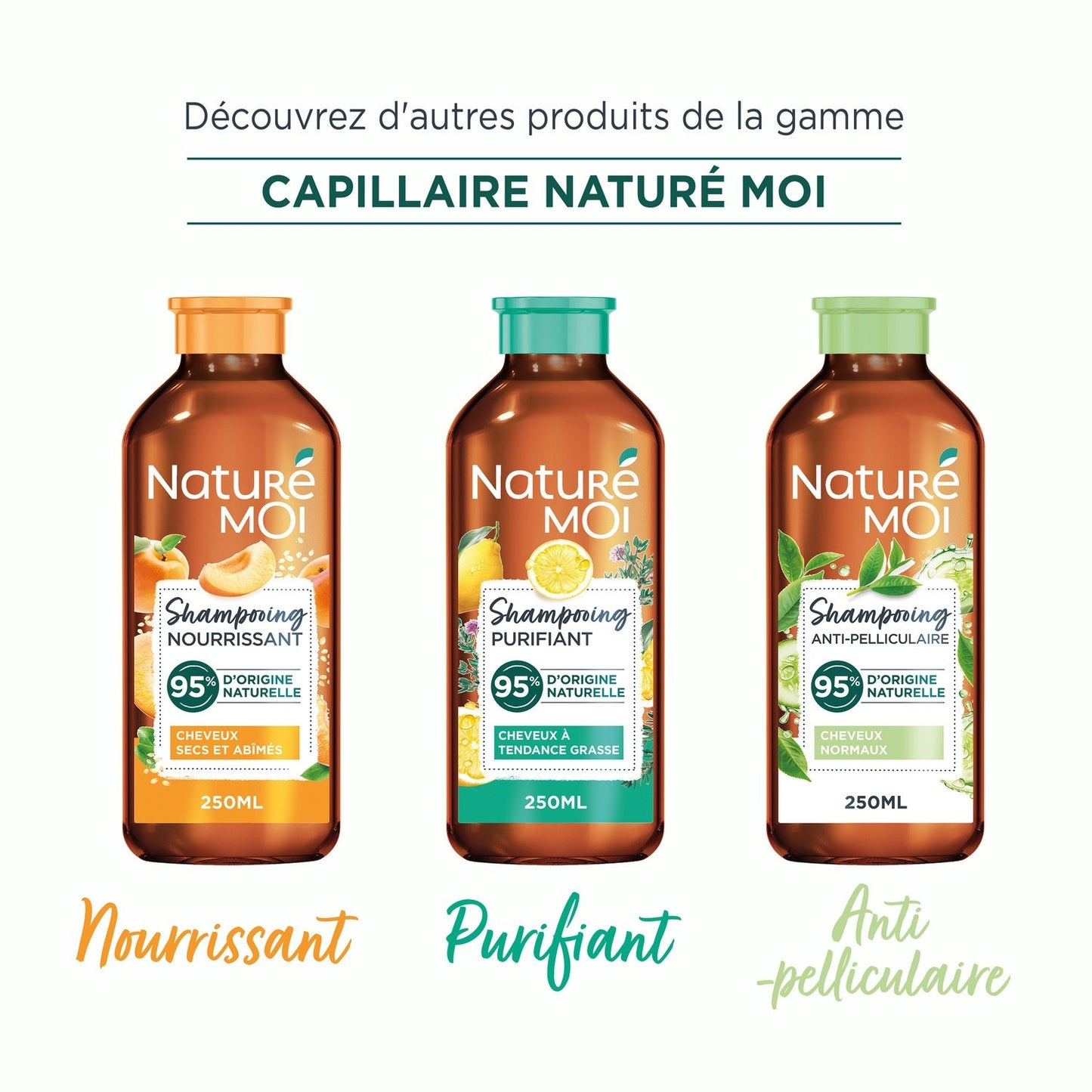 Anti-Dandruff Shampoo for Normal Hair with Limousin Garden Tea and Organic Cucumber Water NATURE MOI