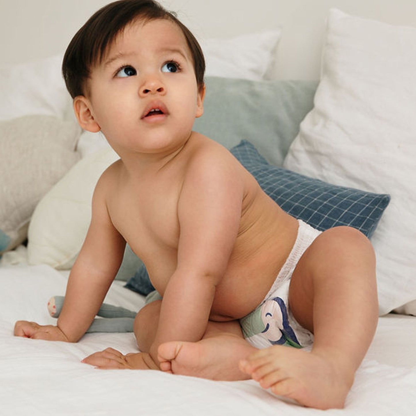 BIOLANE Natural Diapers Size 4 8-15kg