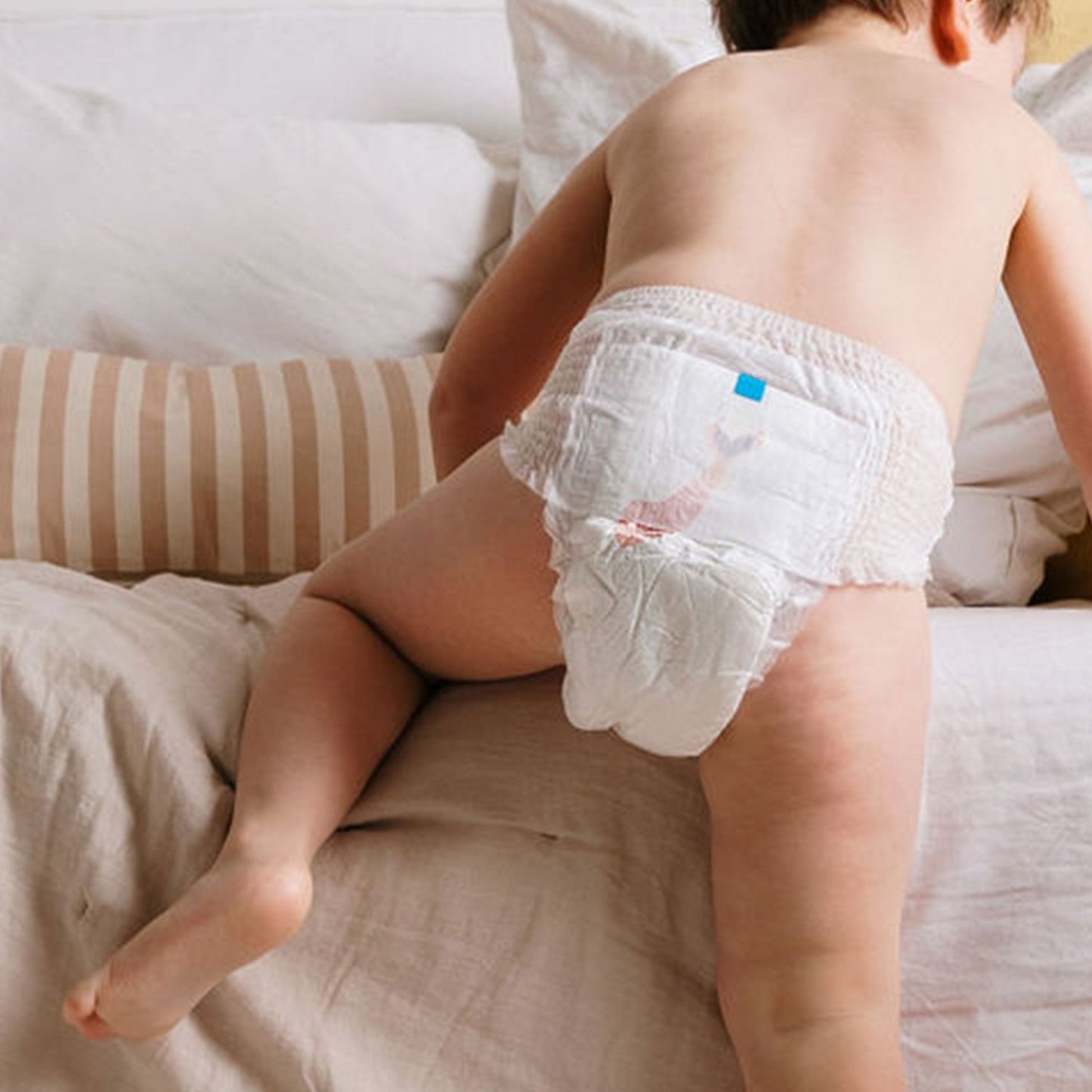 BIOLANE Natural Diapers Size 6 16kg+