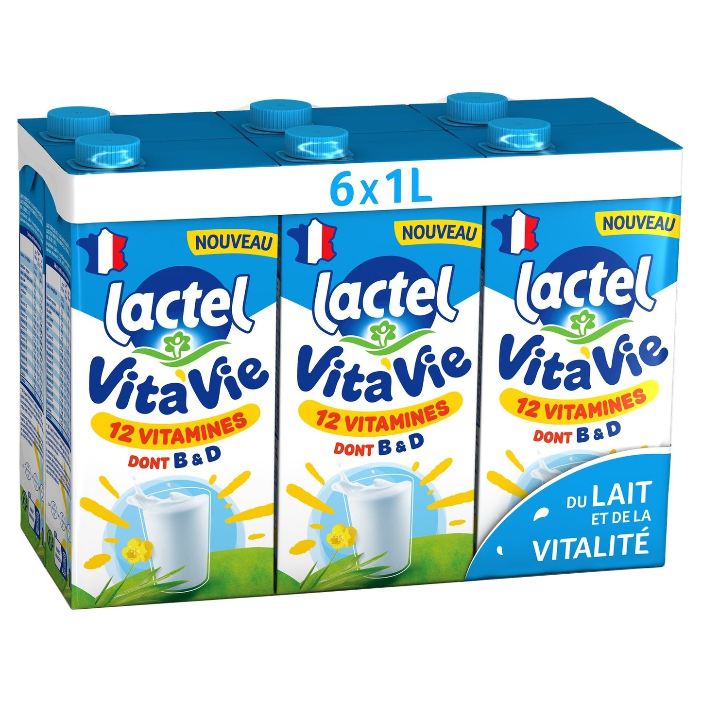 Lait Vitaminé 1, 0% Mg Vita'vie LACTEL