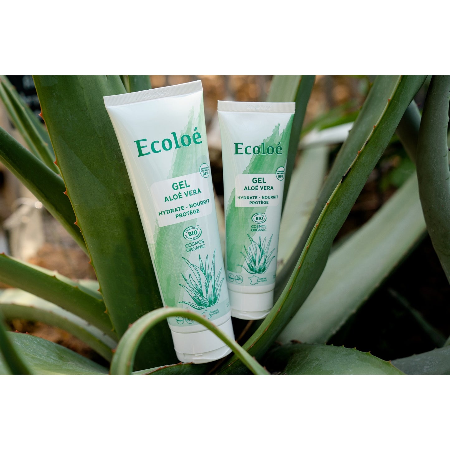 ECOLOE Organic Aloe Vera Nourishing Moisturizing Gel