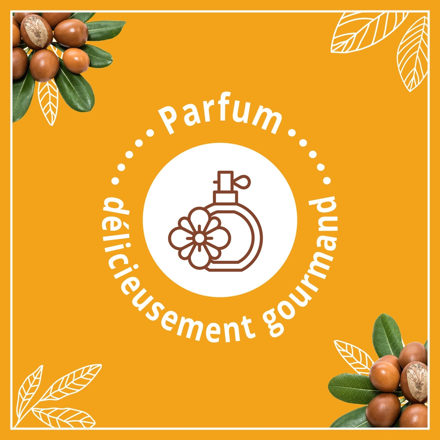 Moisturizing Milk Nutrition Shea, Argan and Ama LE PETIT MARSEILLAIS