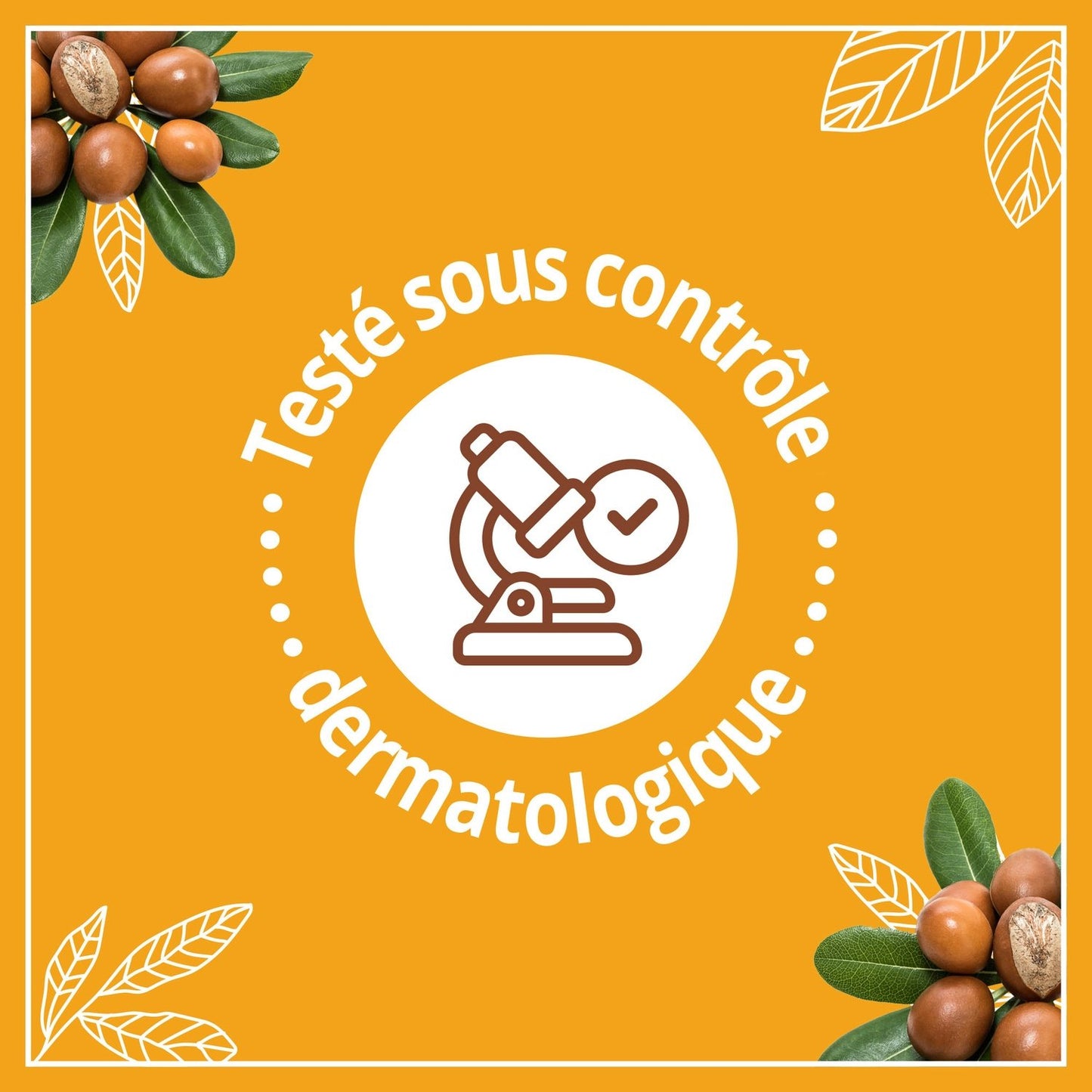 Moisturizing Milk Nutrition Shea, Argan and Ama LE PETIT MARSEILLAIS