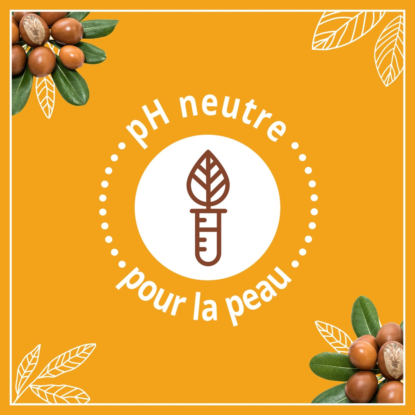 Moisturizing Lotion with Shea Butter, Sweet Almond & Argan Oil for Very Dry Skin LE PETIT MARSEILLAIS
