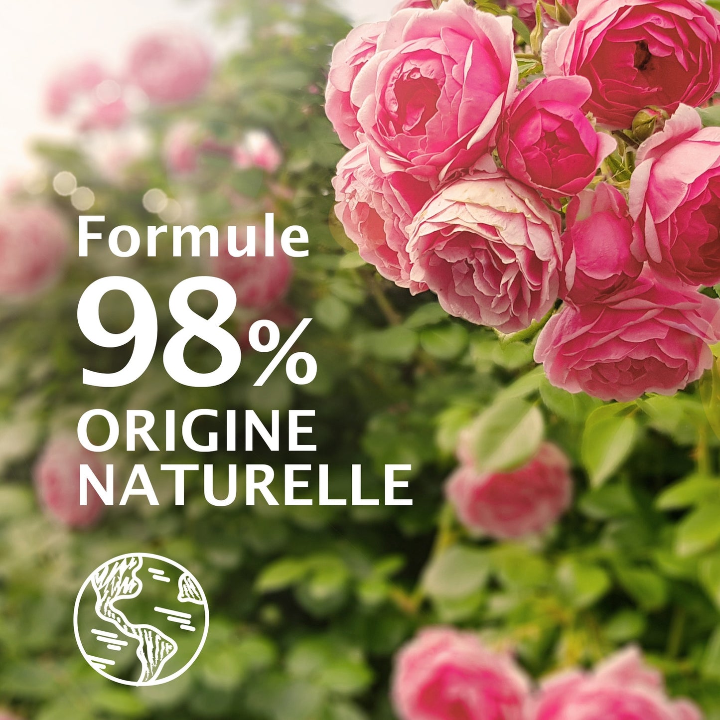 Erfrischendes Duschgel Bio-Wildrose LE PETIT MARSEILLAIS