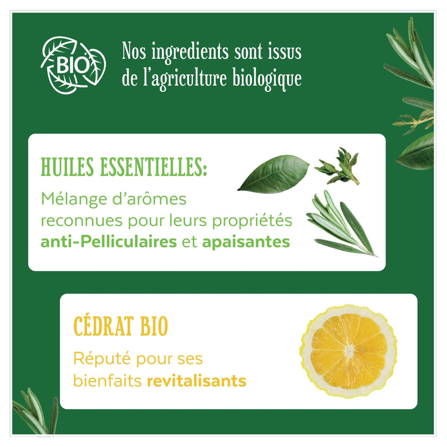 Shampoing Antipelliculaire Cédrat LE PETIT MARSEILLAIS
