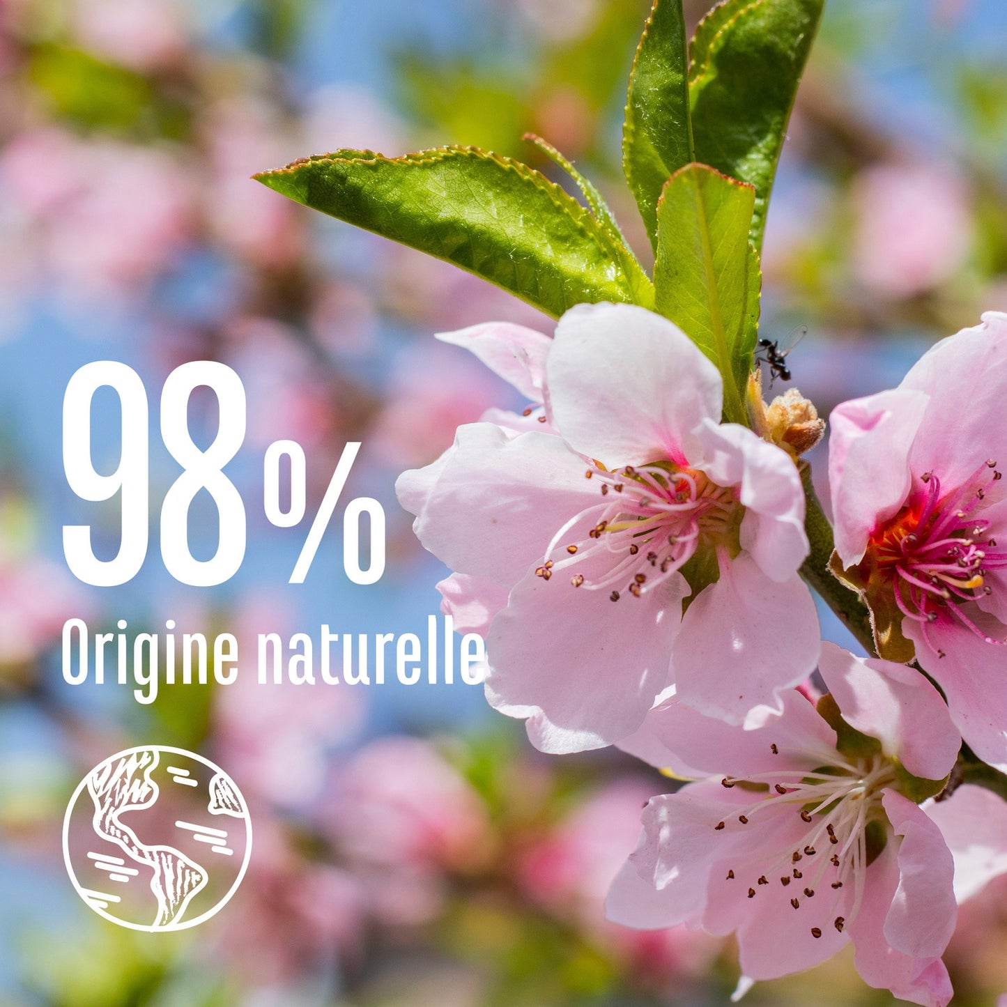 Shampoing Douceur & Éclat Cheveux Longs et Délicats Amande Douce & Graines de Lin Bio LE PETIT MARSEILLAIS