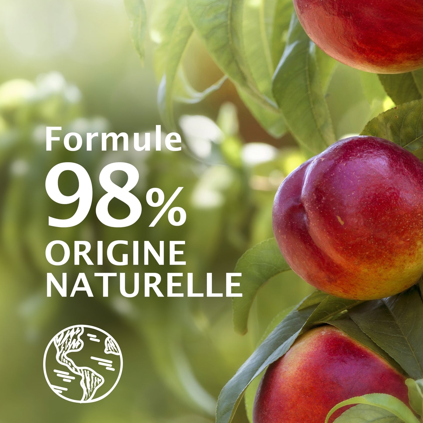 Organic Peach Nectarine Refreshing Shower Gel LE PETIT MARSEILLAIS