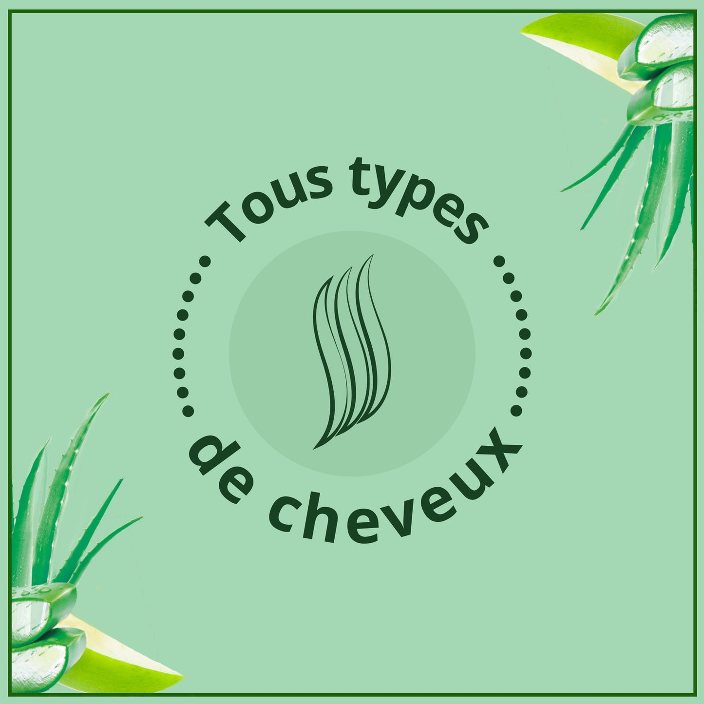 Shampoing Bio Brillance Cheveux Normaux Pomme & Aloé Vera LE PETIT MARSEILLAIS