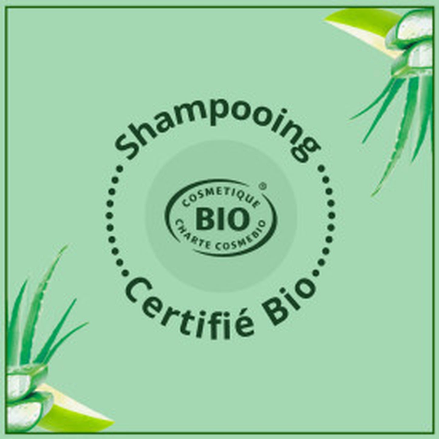 Bio-Glanzshampoo für normales Haar, Apfel und Aloe Vera LE PETIT MARSEILLAIS