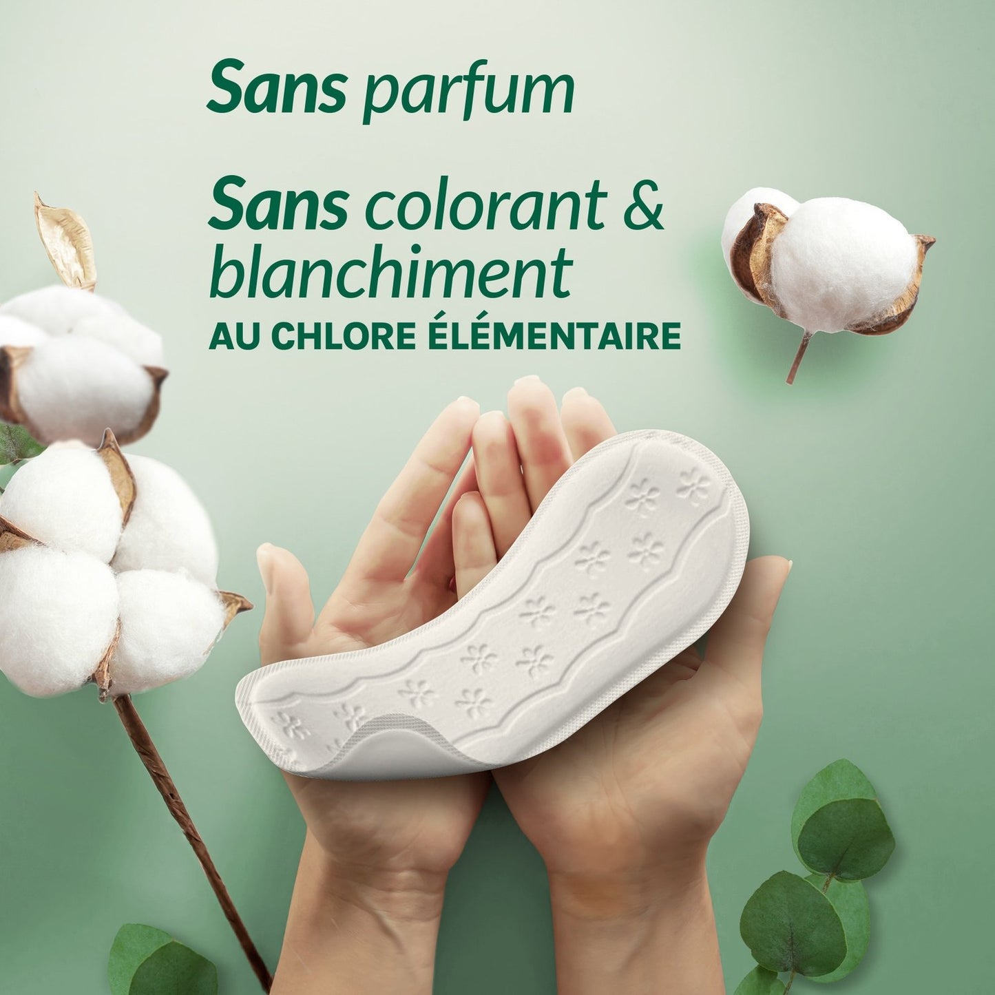 VANIA 100% Organic Cotton Comfort Panty Liners