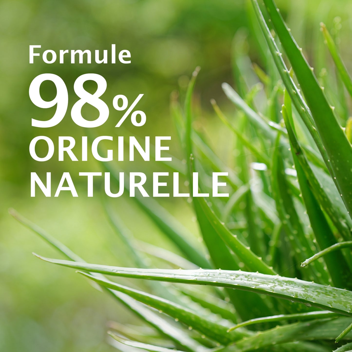 High Tolerance Moisturizing Shower Gel with Organic Aloe Vera LE PETIT MARSEILLAIS