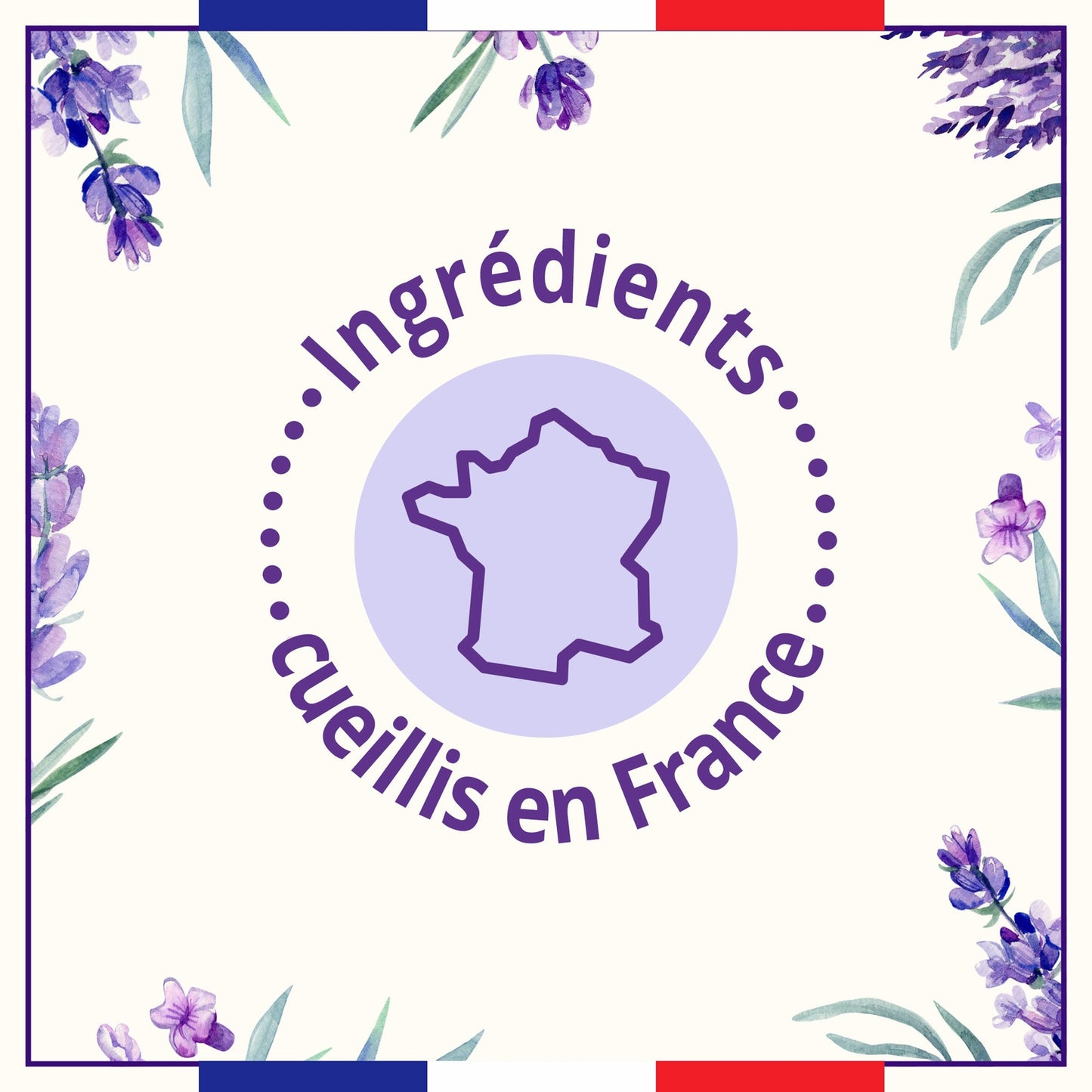 Liquid Soap Refill with Lavender Essential Oil LE PETIT MARSEILLAIS