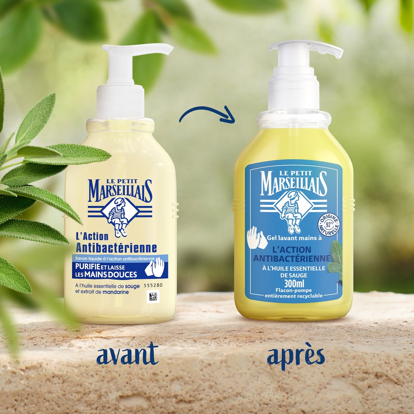 Savon Liquide Mains Action Anti-Bactérienne à l'Huile Essentielle de Sauge LE PETIT MARSEILLAIS